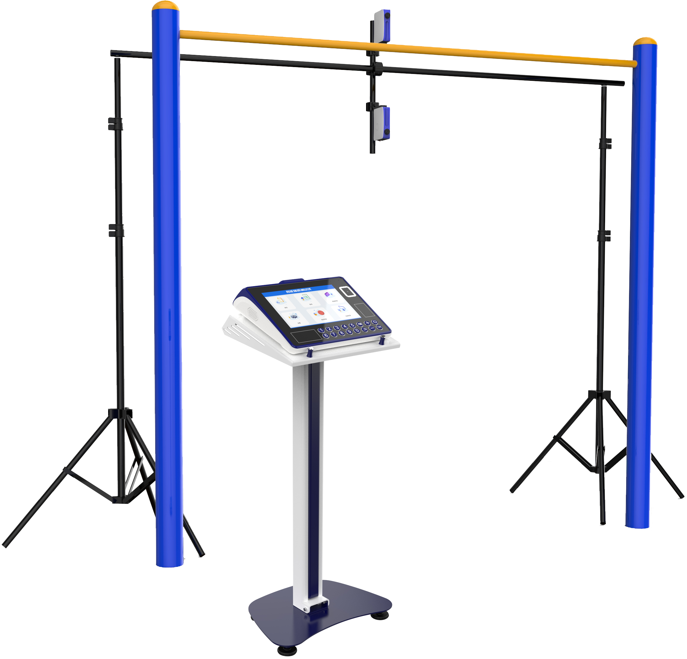 physical education examination，physical examination，Physical Assessment，intelligence，