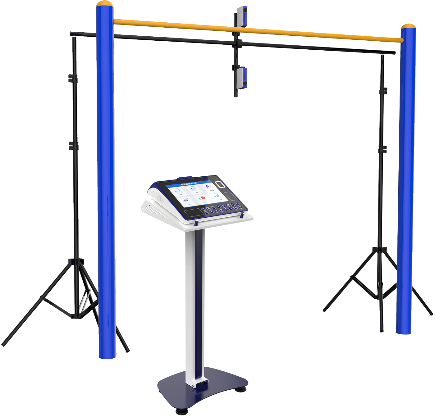 physical education examination，physical examination，Physical Assessment，intelligence，