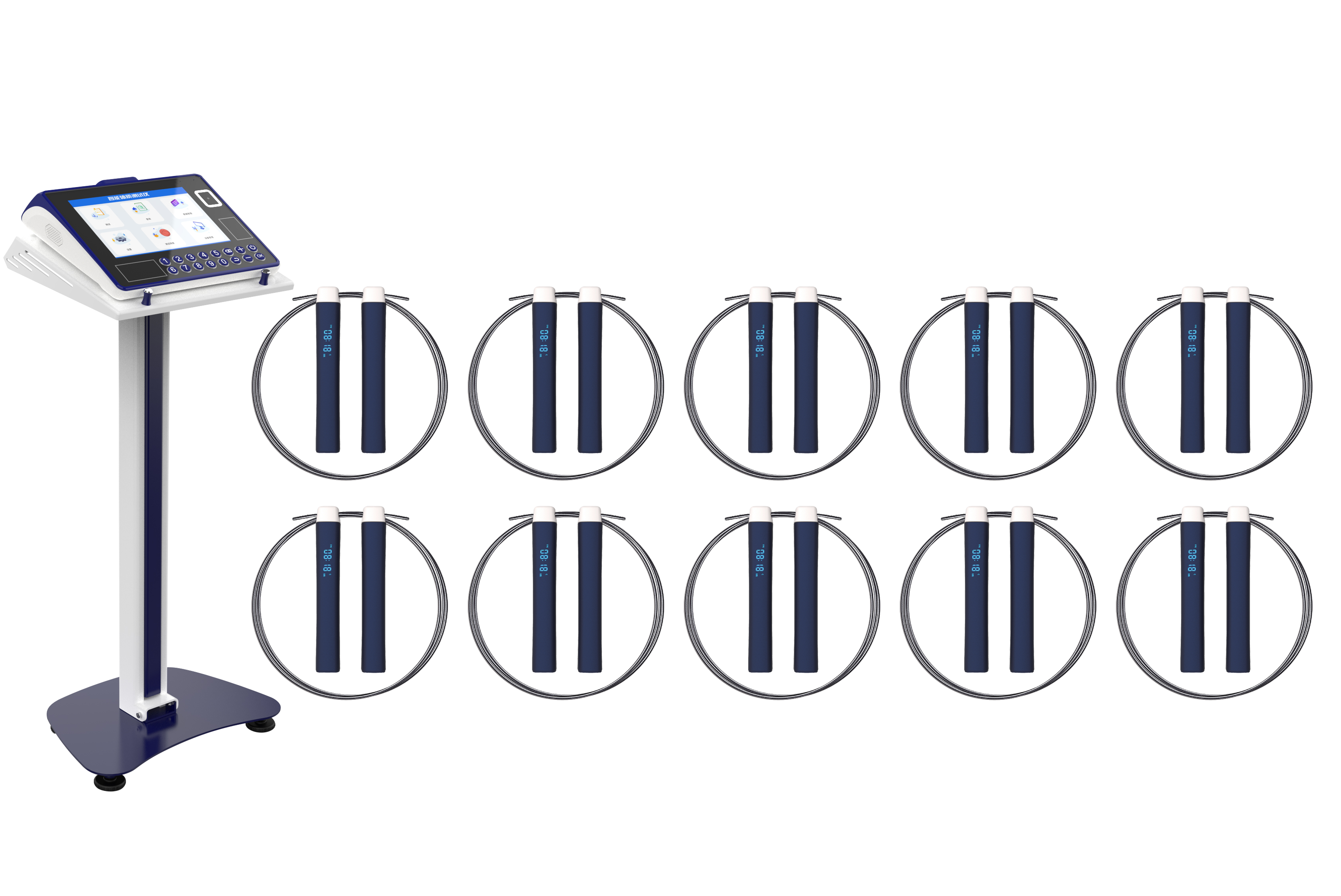 physical education examination，physical examination，Physical Assessment，intelligence，