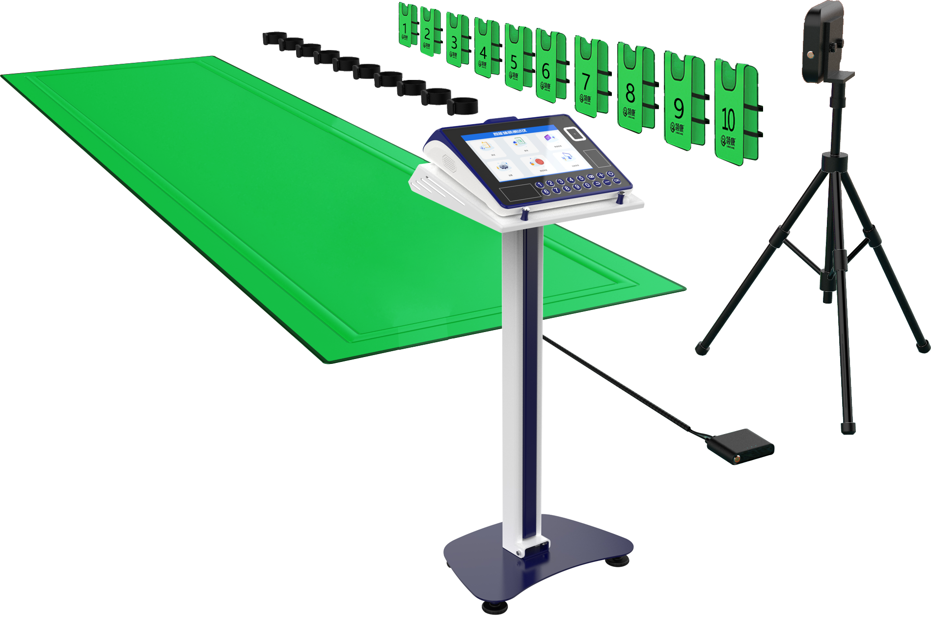 physical education examination，physical examination，Physical Assessment，intelligence，