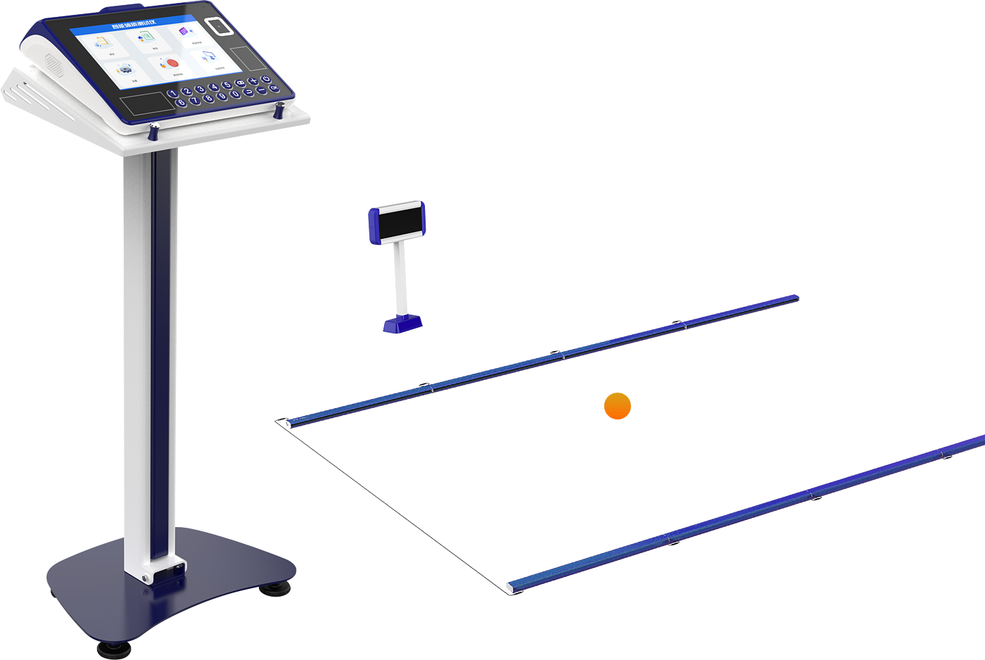 physical education examination，physical examination，Physical Assessment，intelligence，