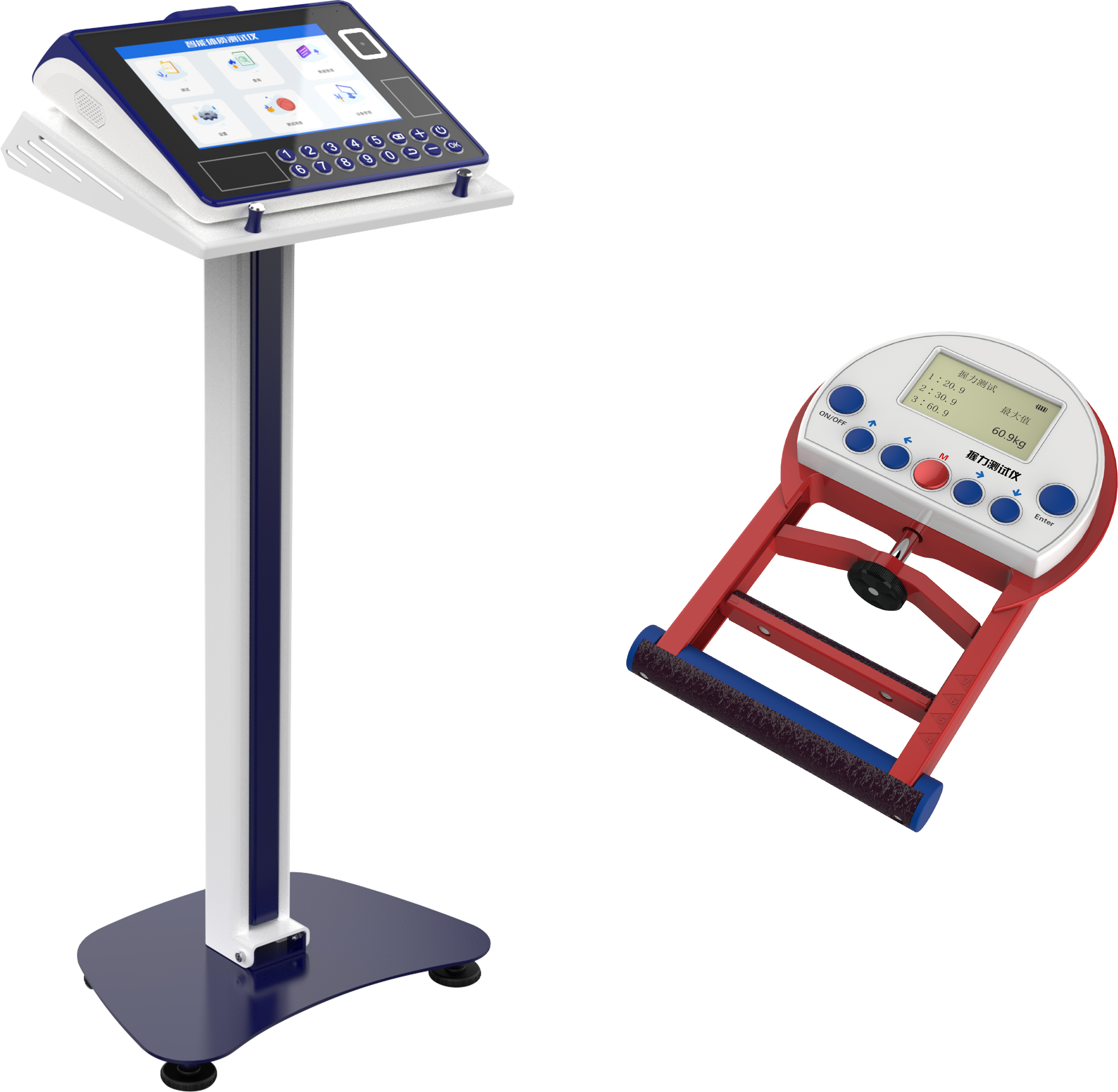 physical education examination，physical examination，Physical Assessment，intelligence，