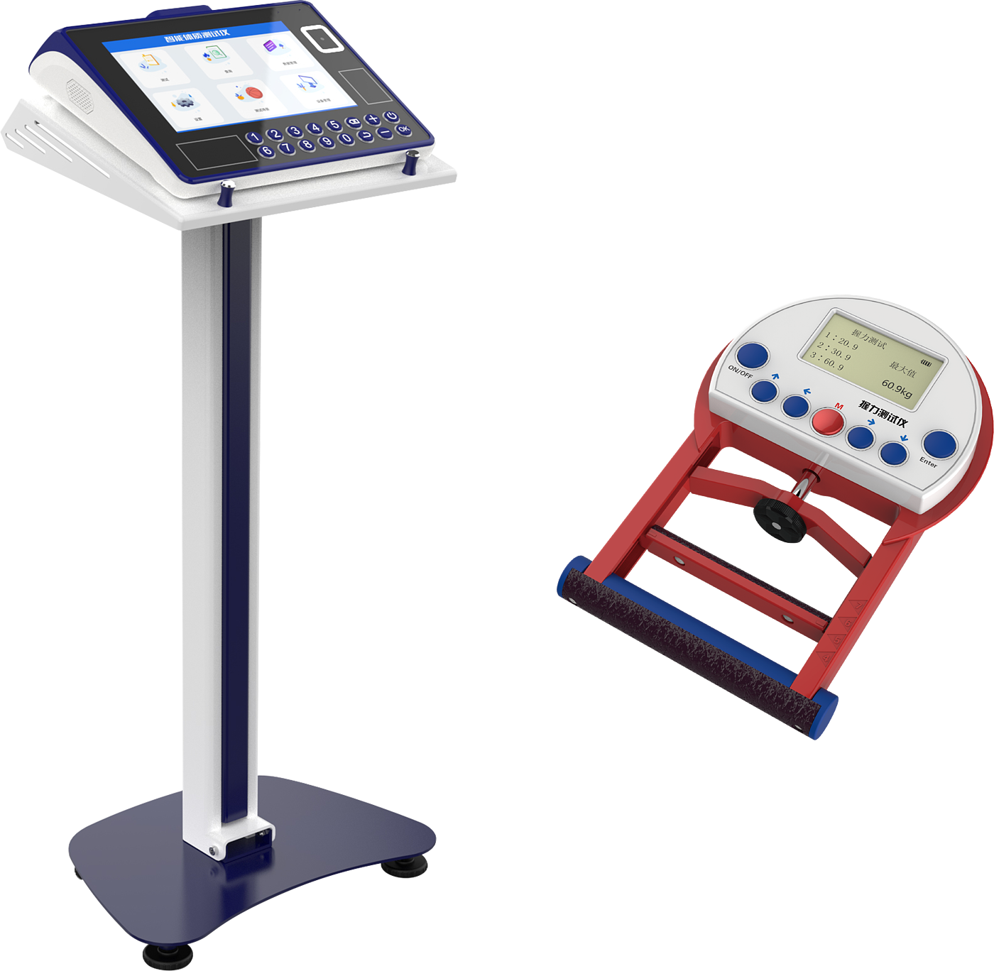 physical education examination，physical examination，Physical Assessment，intelligence，