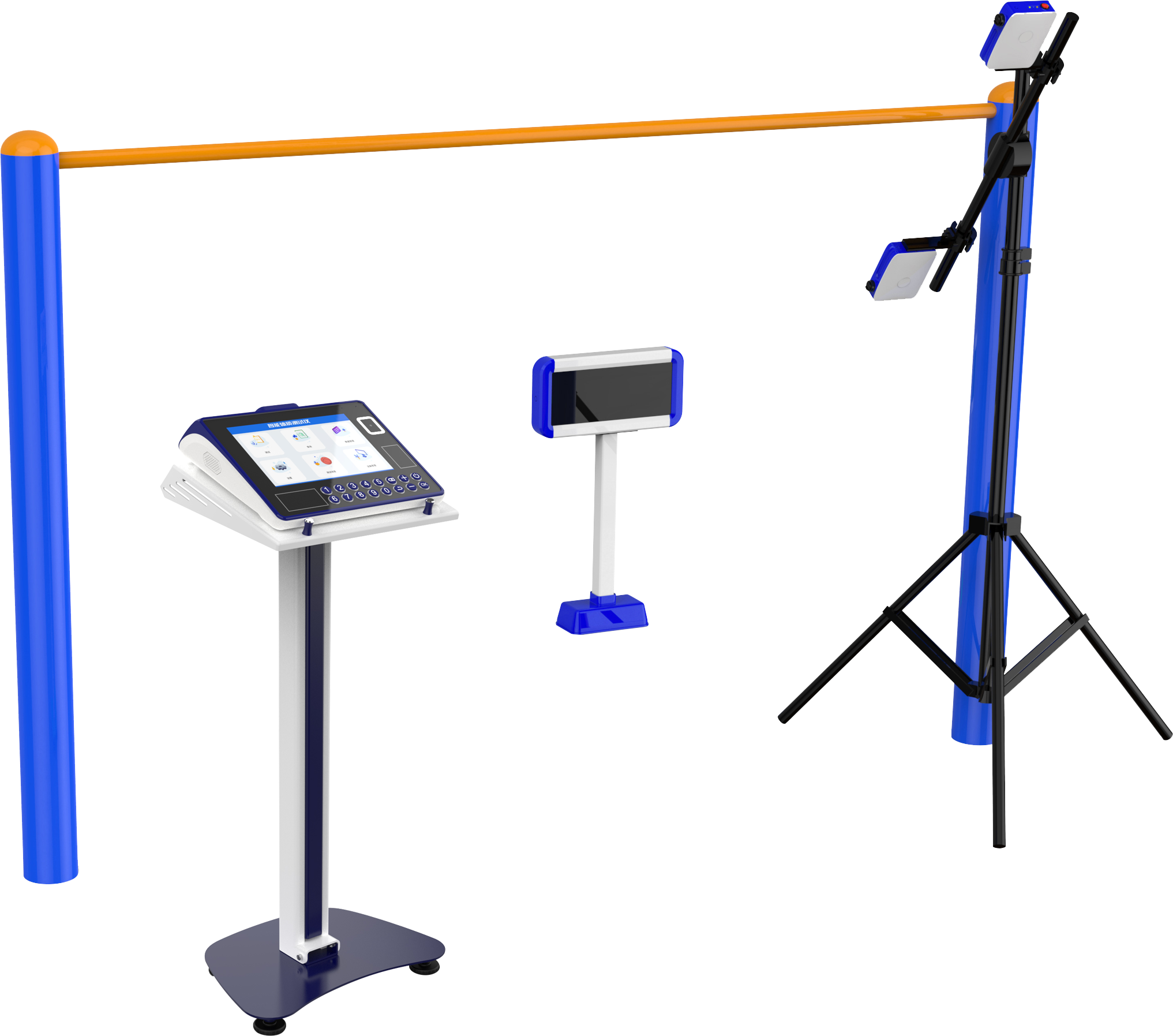 physical education examination，physical examination，Physical Assessment，intelligence，