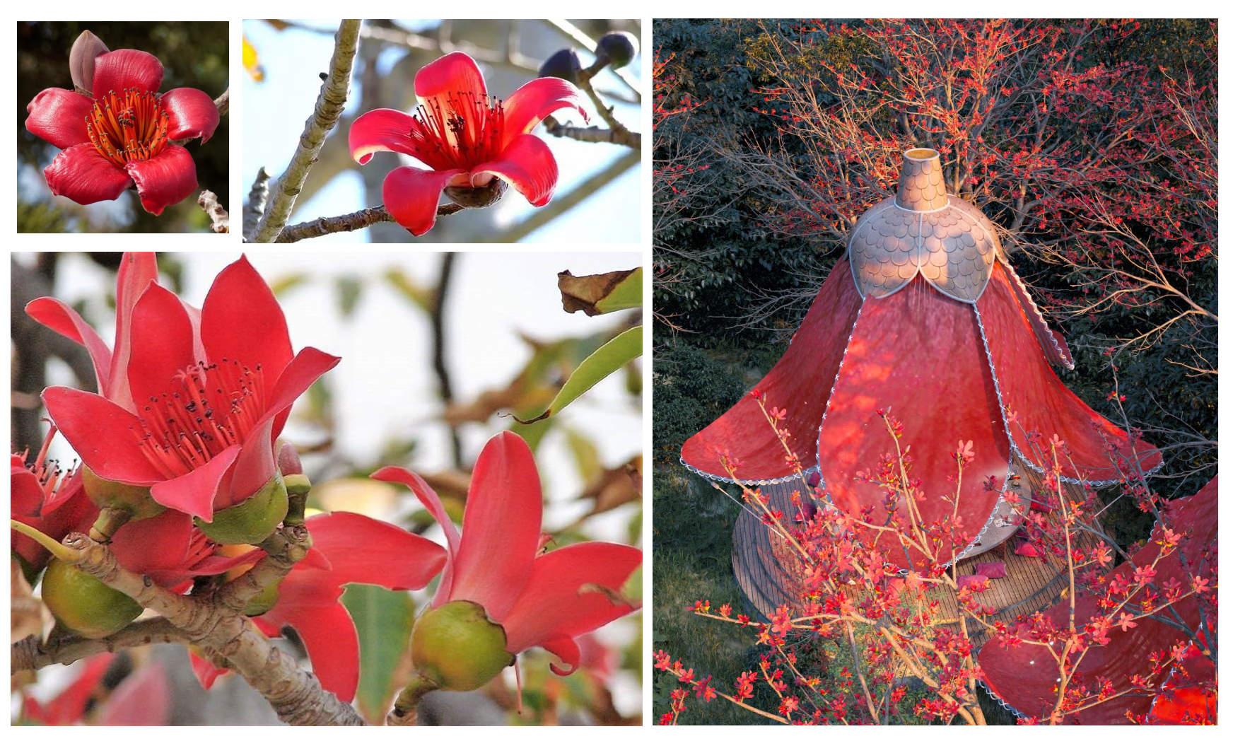 Architecture，Gao Liu，conceptual design，Digital art，Natural landscape，