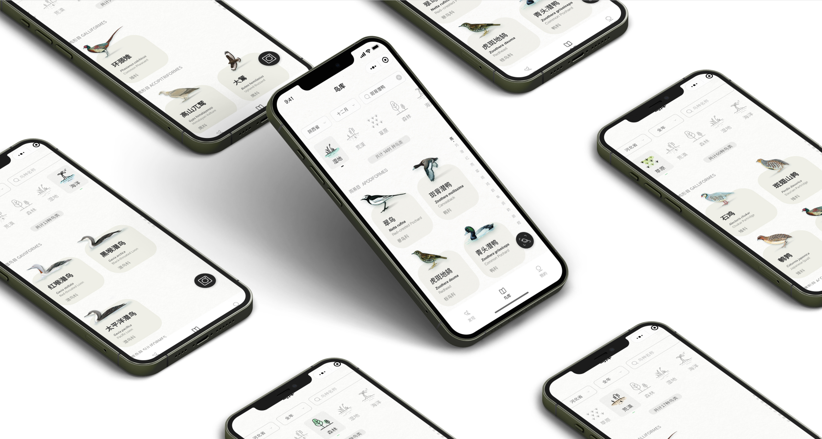 Original design，Red dot award，