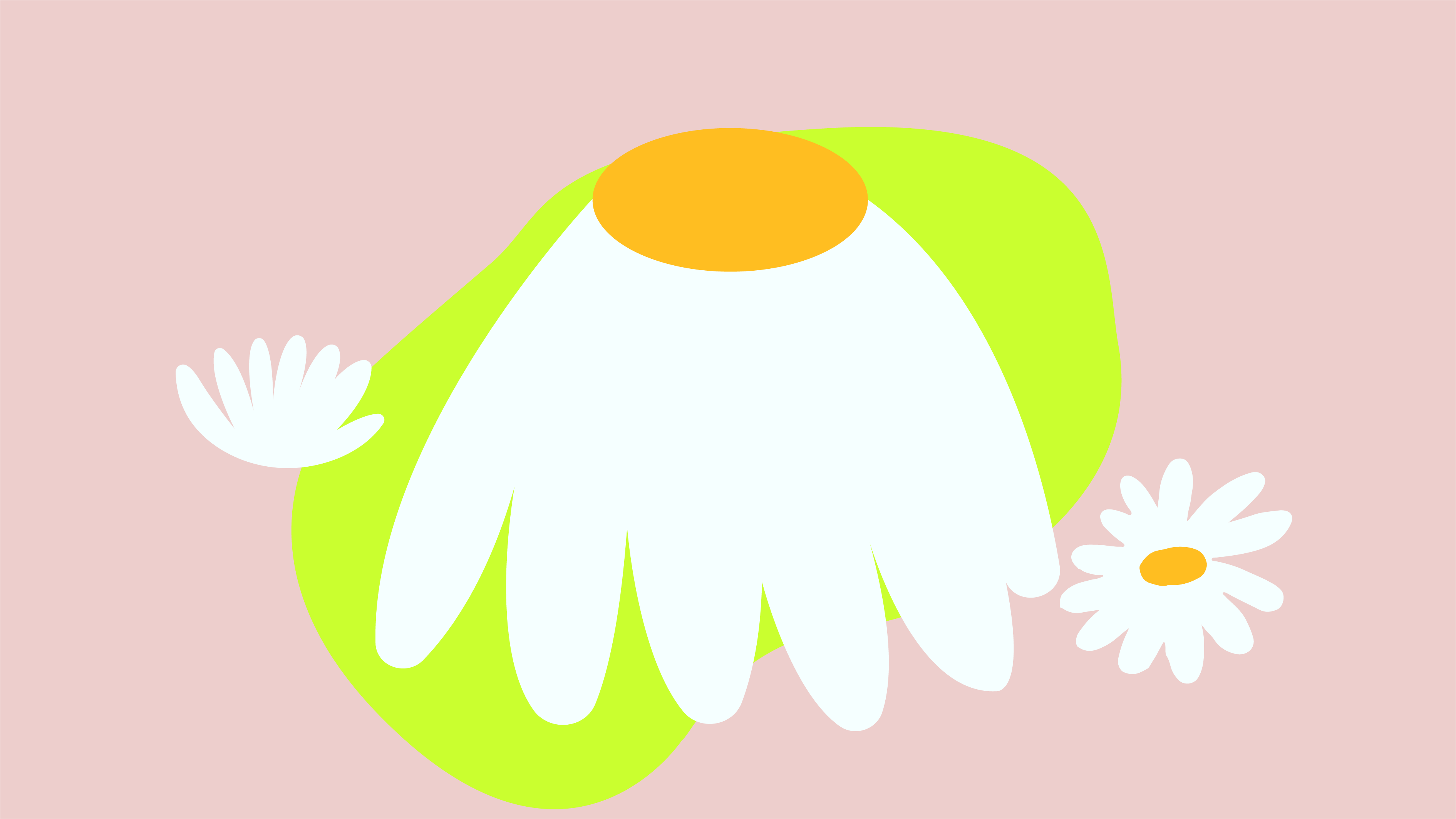 baozhuang，Creative packaging, plane, original, brand vision, tea packaging，