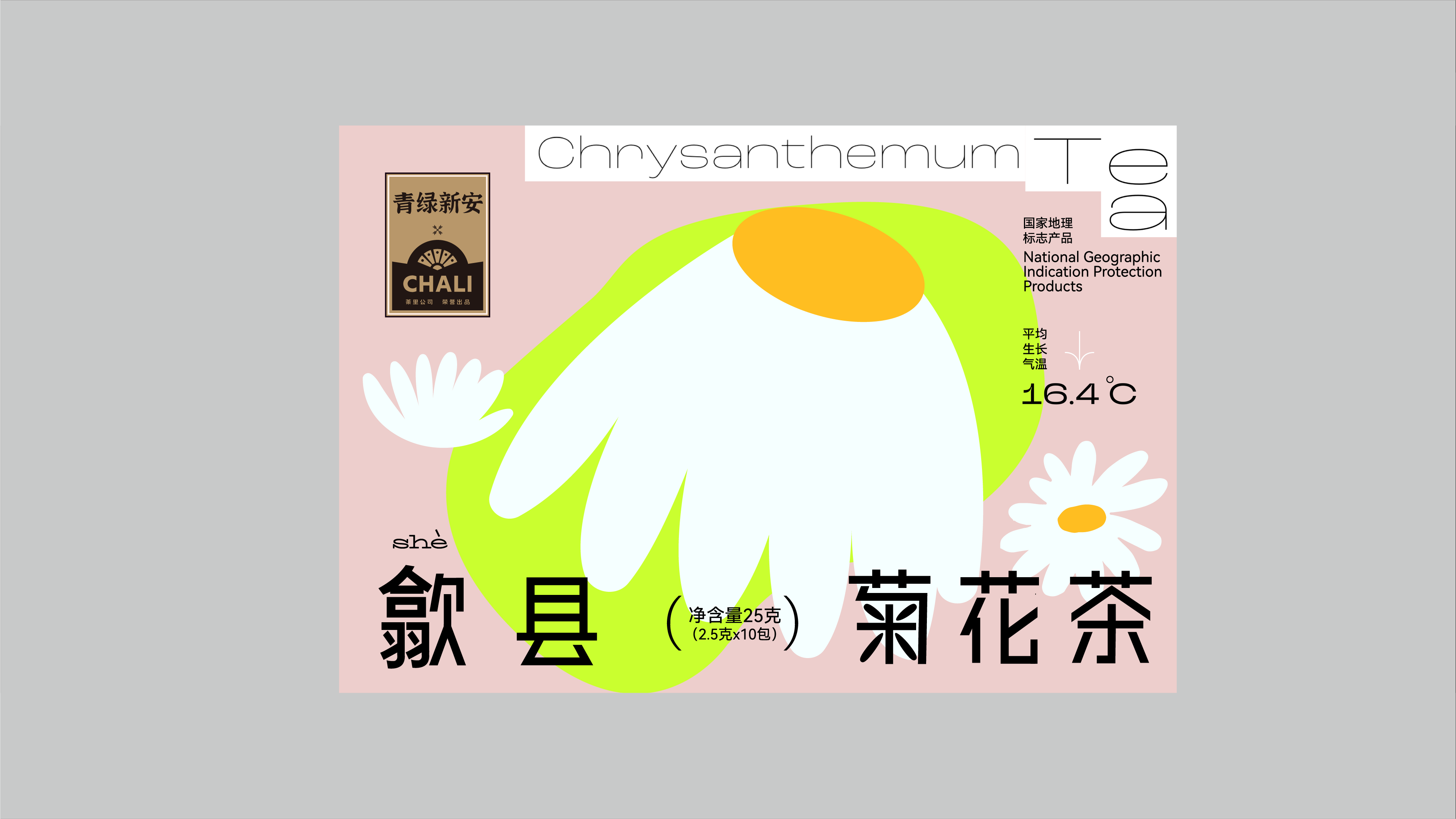 baozhuang，Creative packaging, plane, original, brand vision, tea packaging，