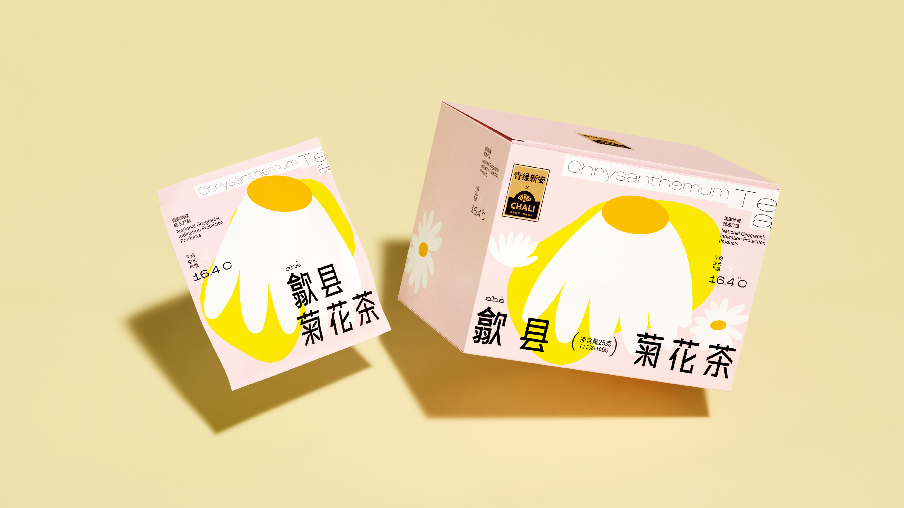 baozhuang，Creative packaging, plane, original, brand vision, tea packaging，