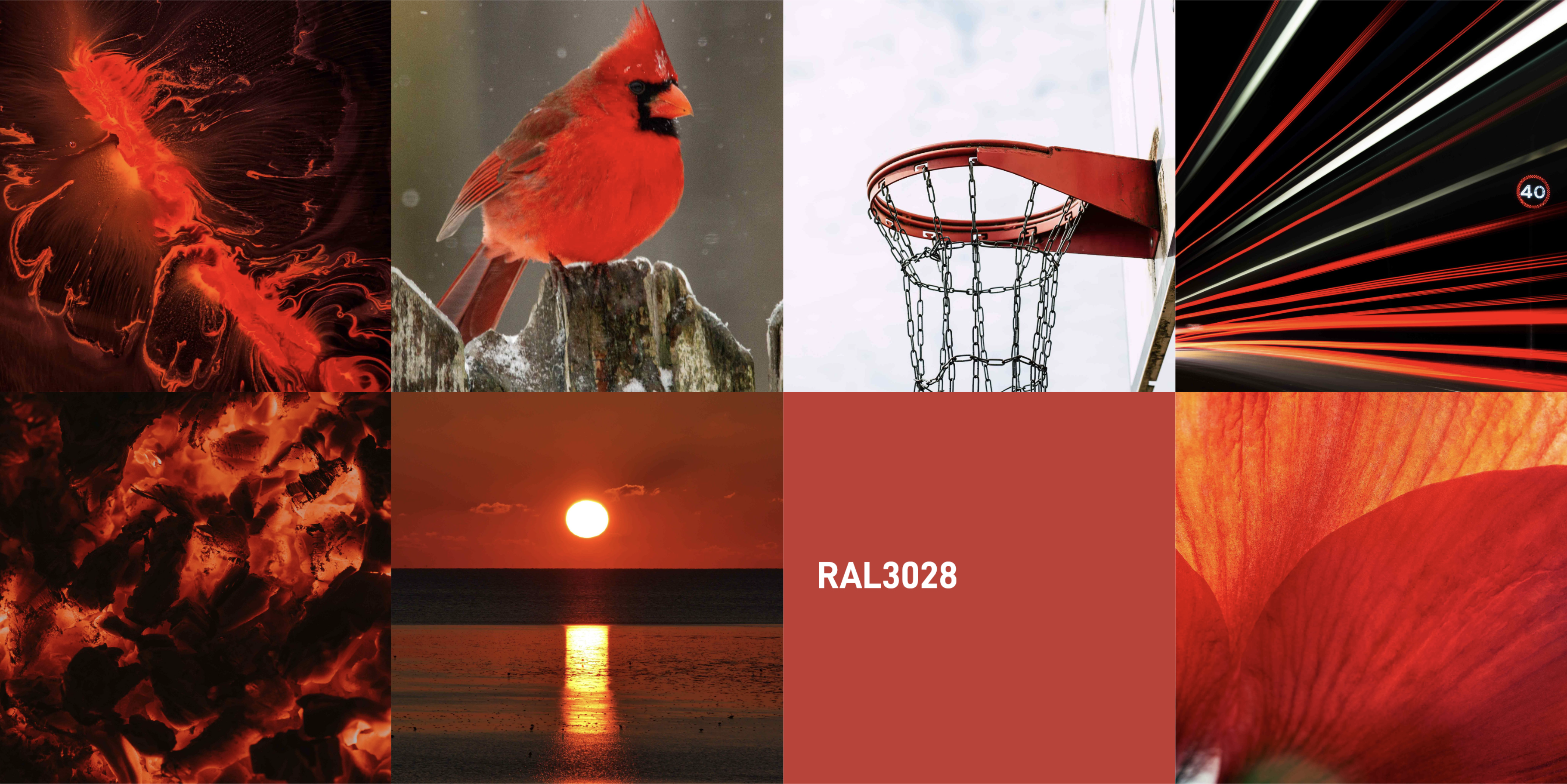 Mobile phone shell，Digital accessories，3C digital，Brand design，product design，Whole case design，logo，