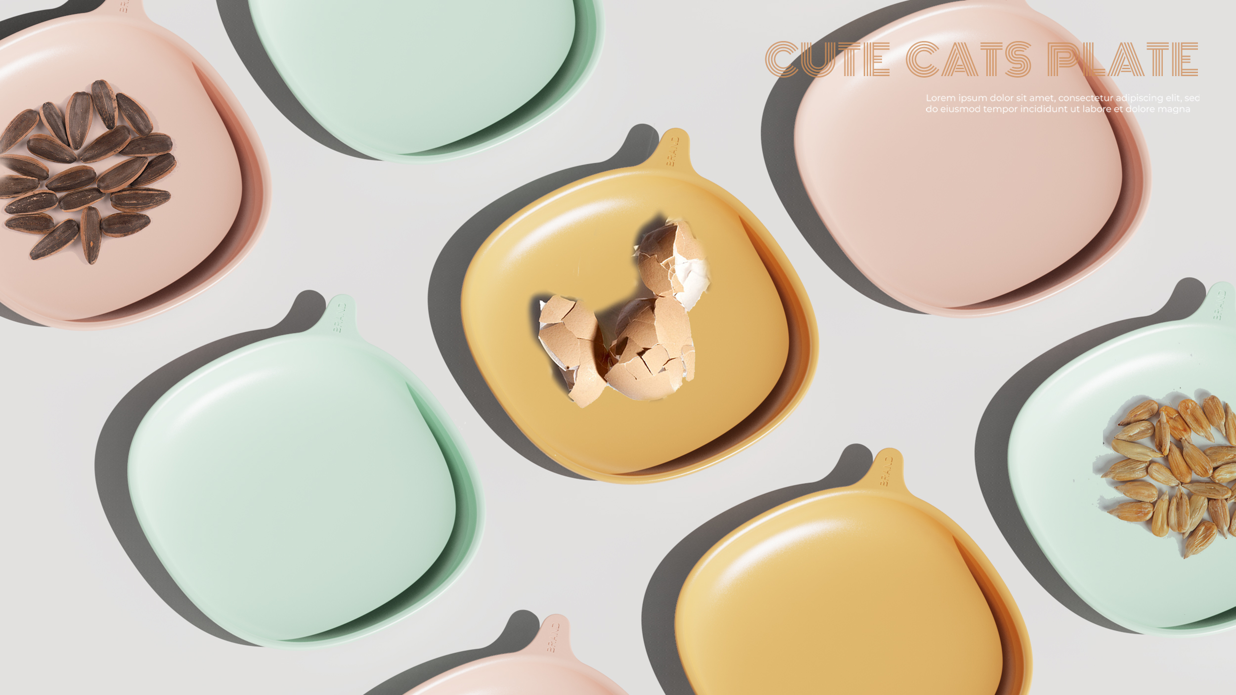 Spitting disc，Kitty，Home Furnishing，Living things，