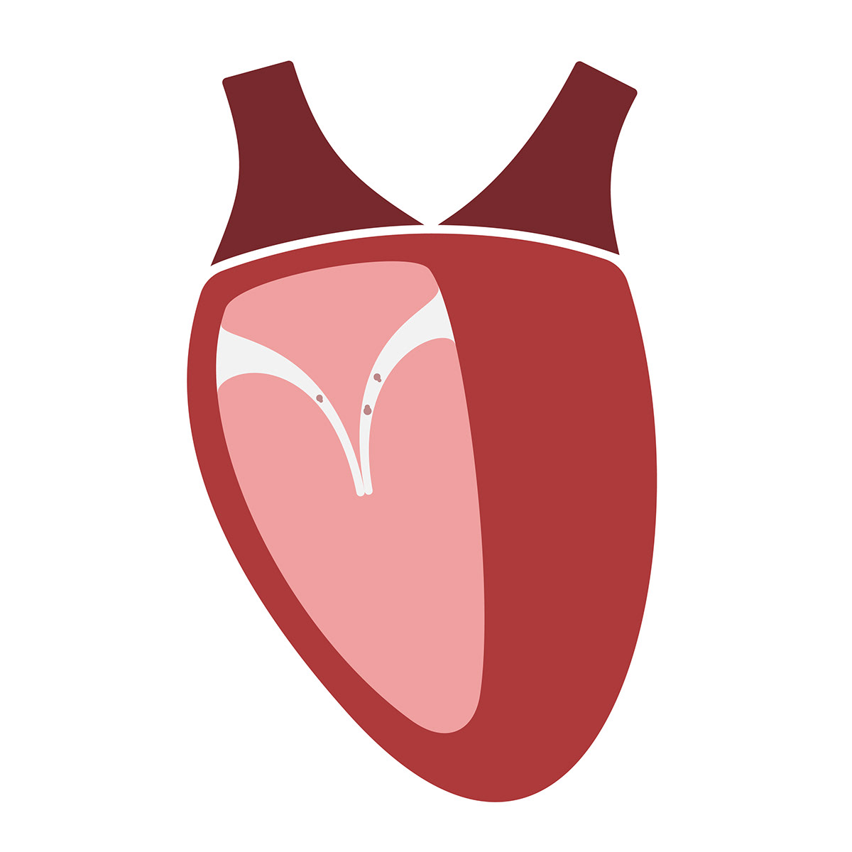 whisper，endocarditis，pulse，Heart rate change，Electronic stethoscope，Preventive health care，