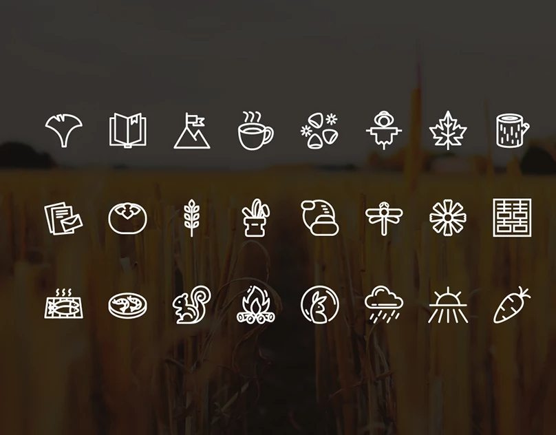 camping，trunk，outdoors，