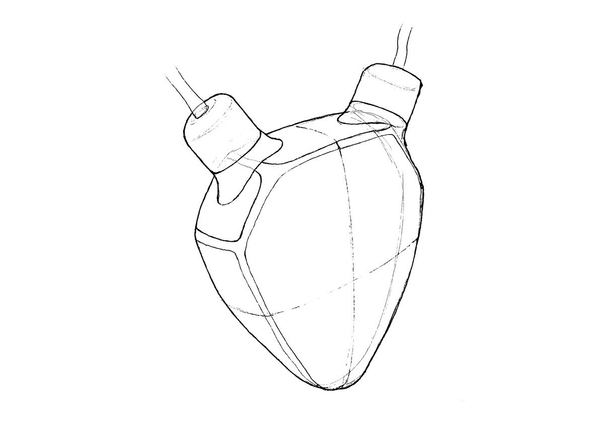 whisper，endocarditis，pulse，Heart rate change，Electronic stethoscope，Preventive health care，