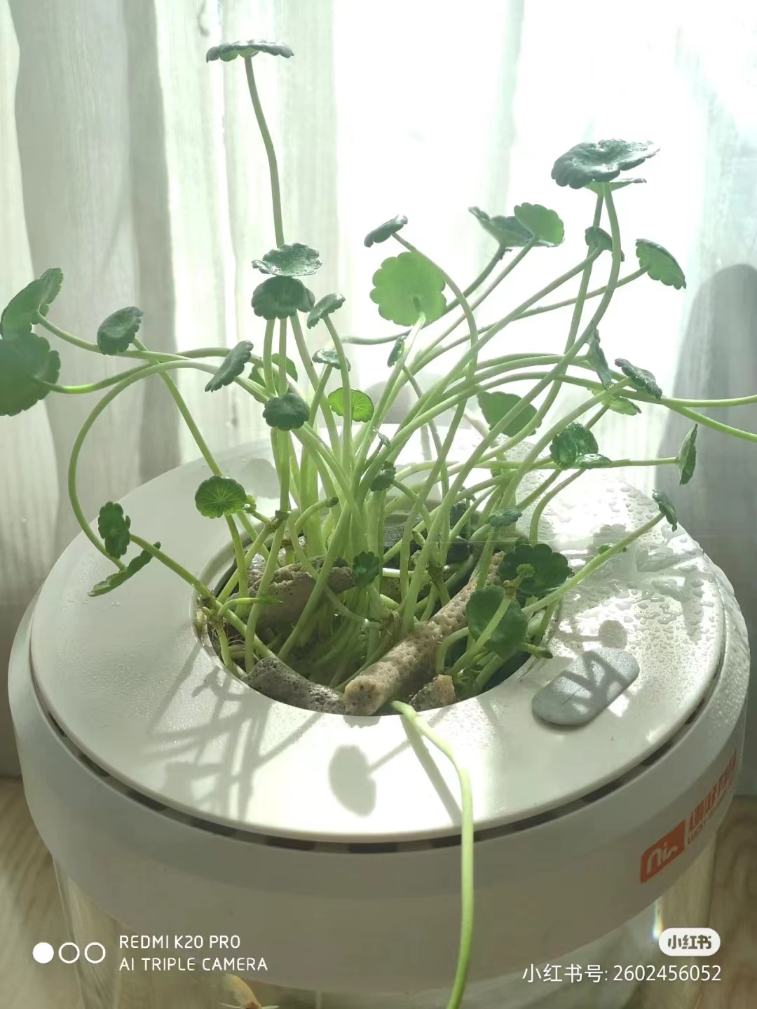 industrial design，product design，Appearance design，Innovative design，Creative design，Simplicity，household electrical appliances，