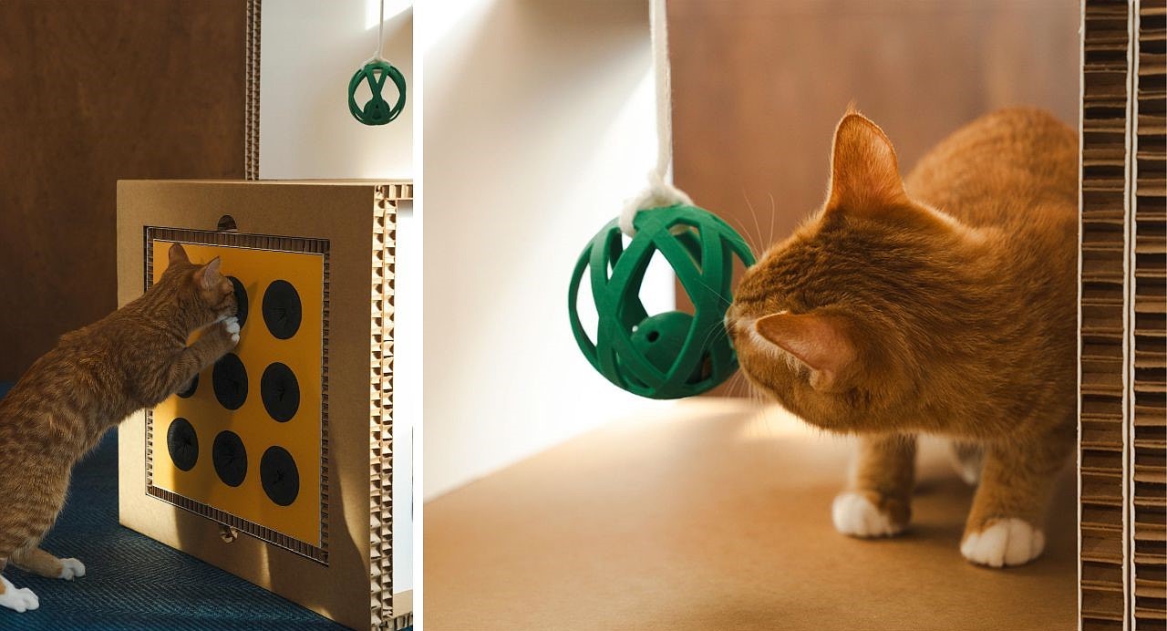 纸猫塔，宠物用品，猫科动物，