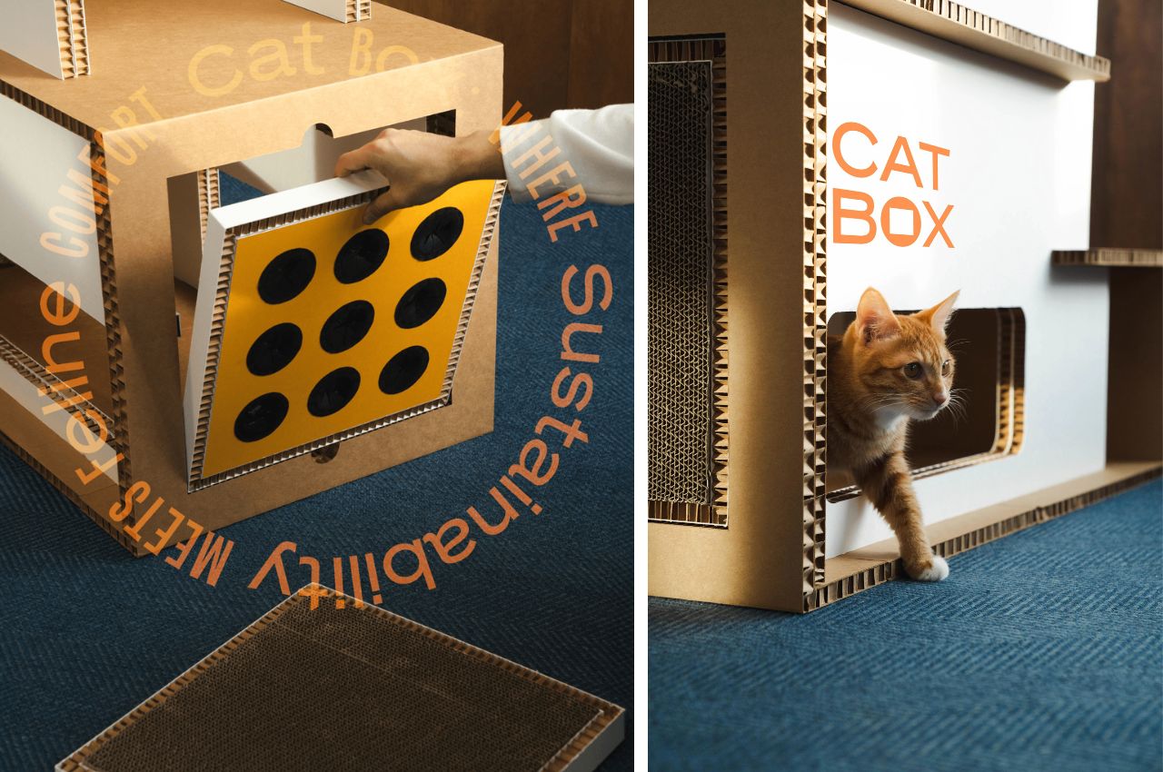 Paper Cat Tower，Pet Supplies & Pet，catamount，