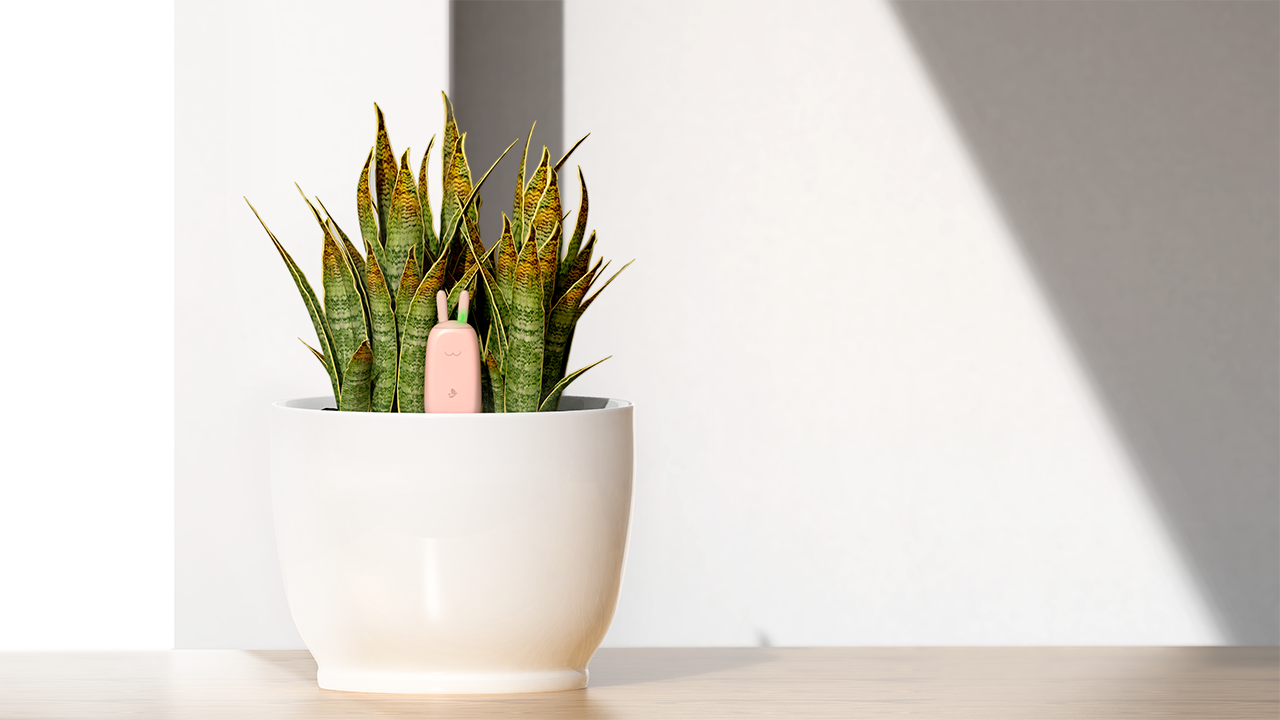 product design，industrial design，product design，Botany，industrial design，Botany，