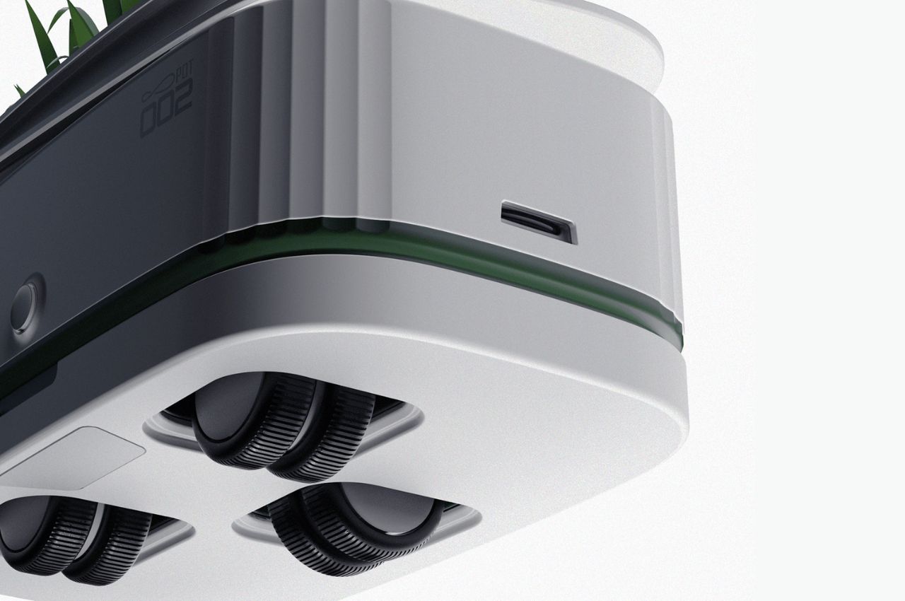 sunshine，spot，South，Botany，