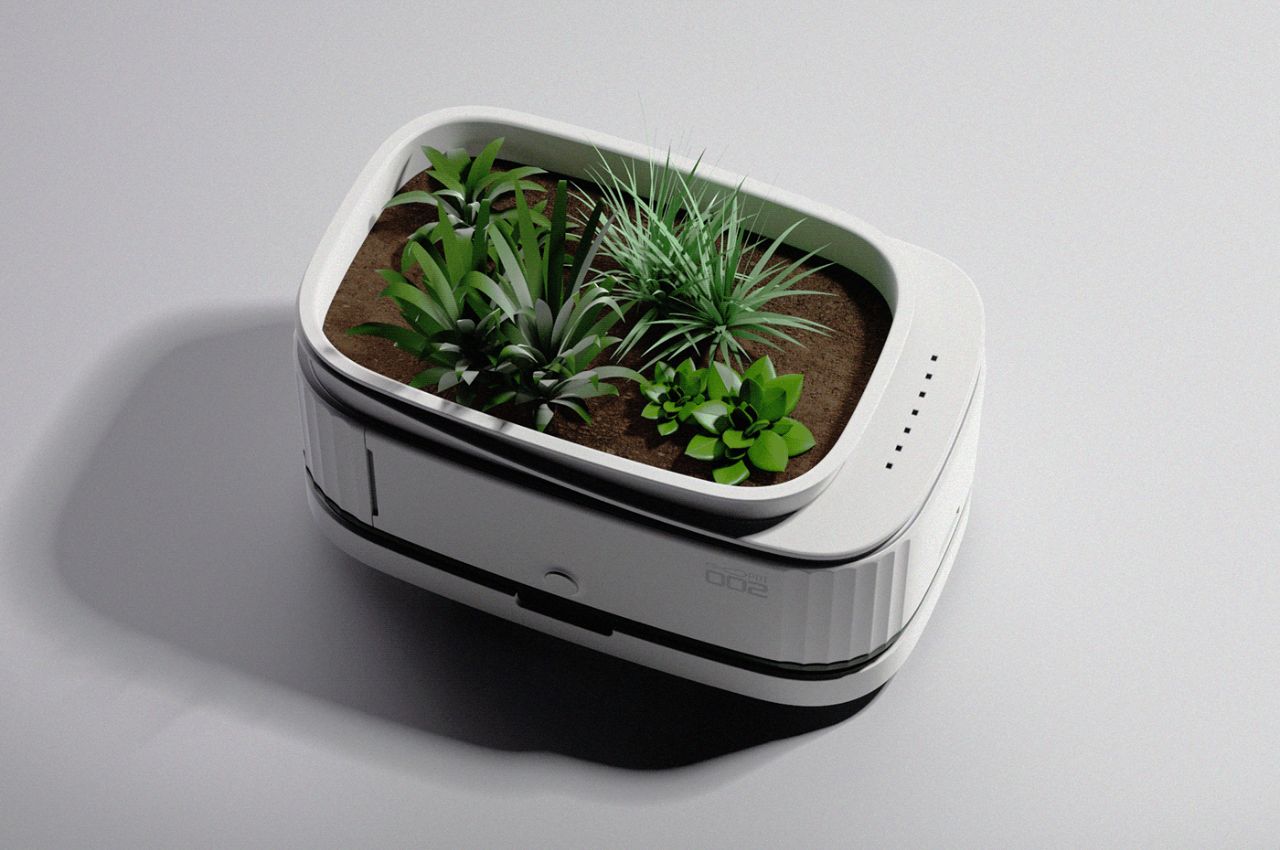 sunshine，spot，South，Botany，