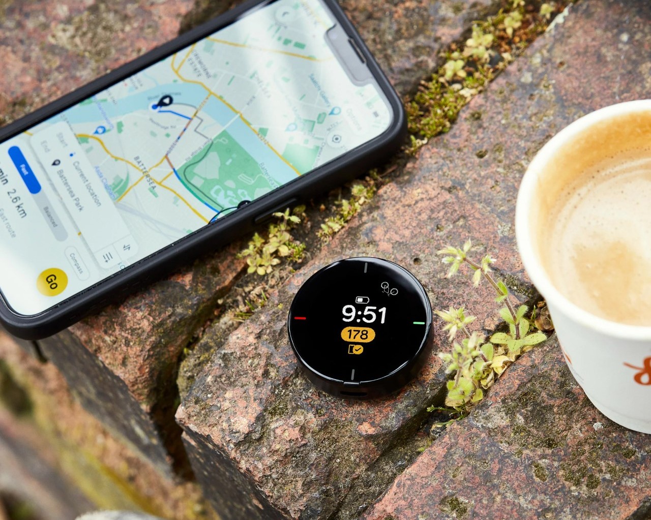 visual，comfortable，Navigation，Beeline，