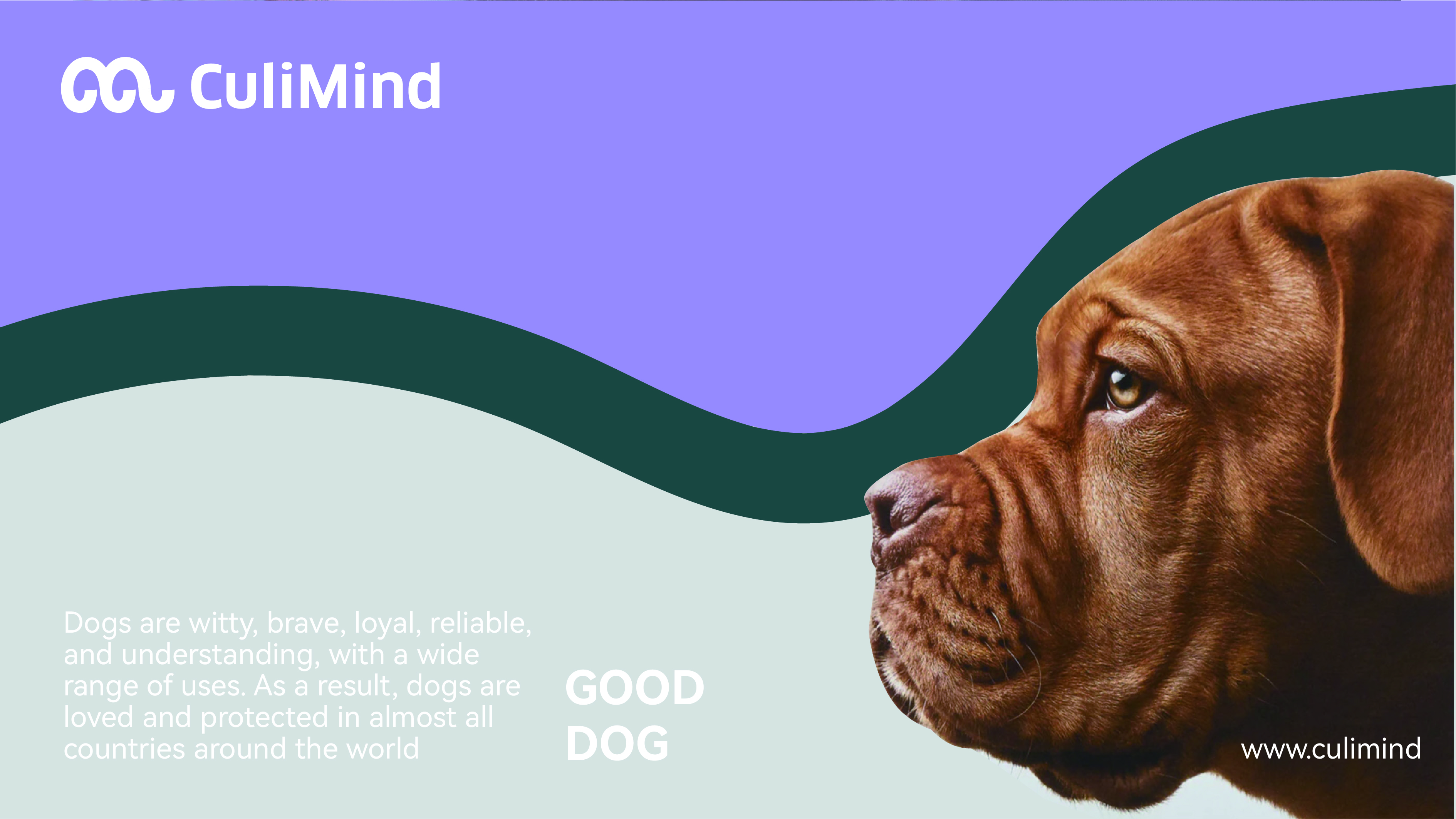 Logo, logo, pet, brand, packaging, creative，