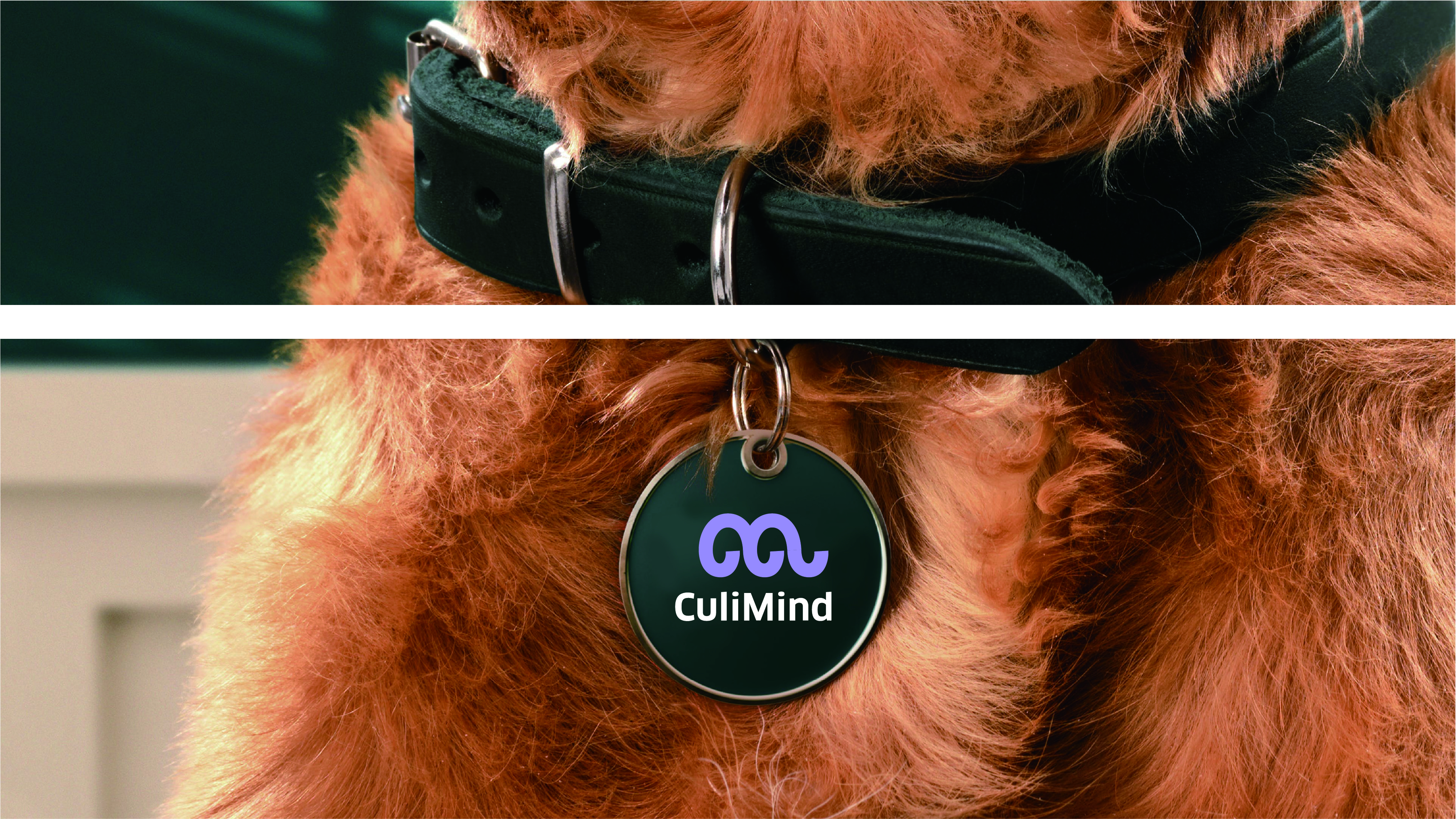 Logo, logo, pet, brand, packaging, creative，