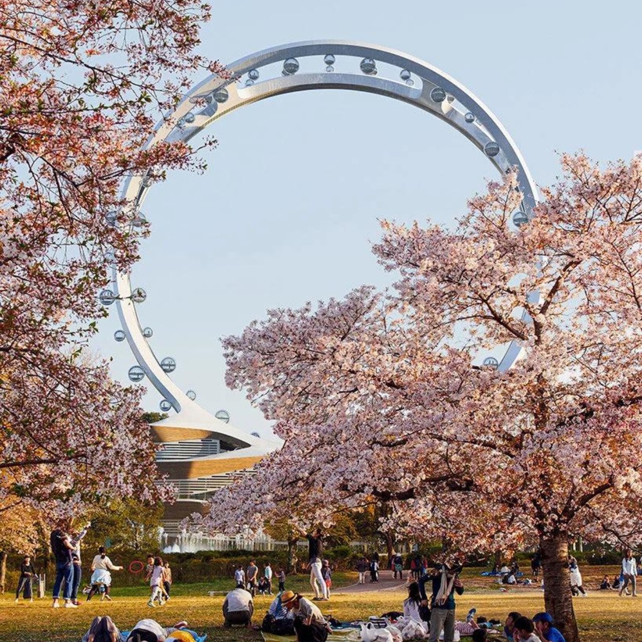 ferris wheel，conceptual design，The best in the world，