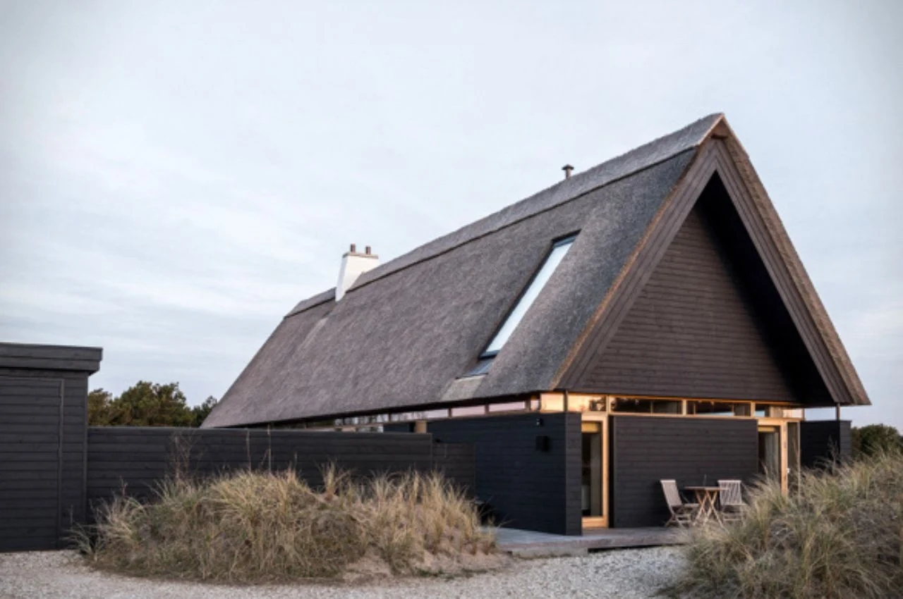 villa，Denmark，woodiness，