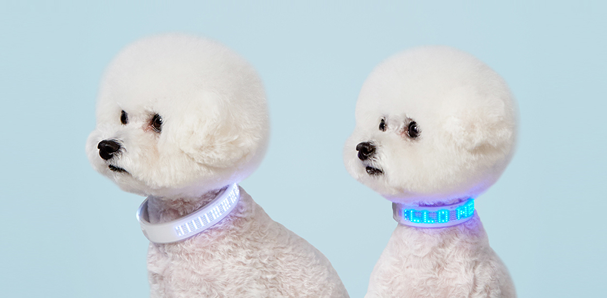 Pets，a collar for a horse，at night，led，silicone，location，