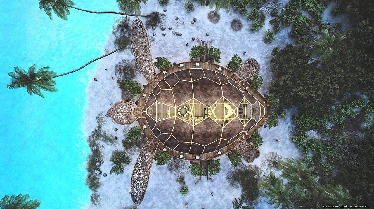 Turtle Restaurant，Turtle Restaurant，Architecture，environmental design，