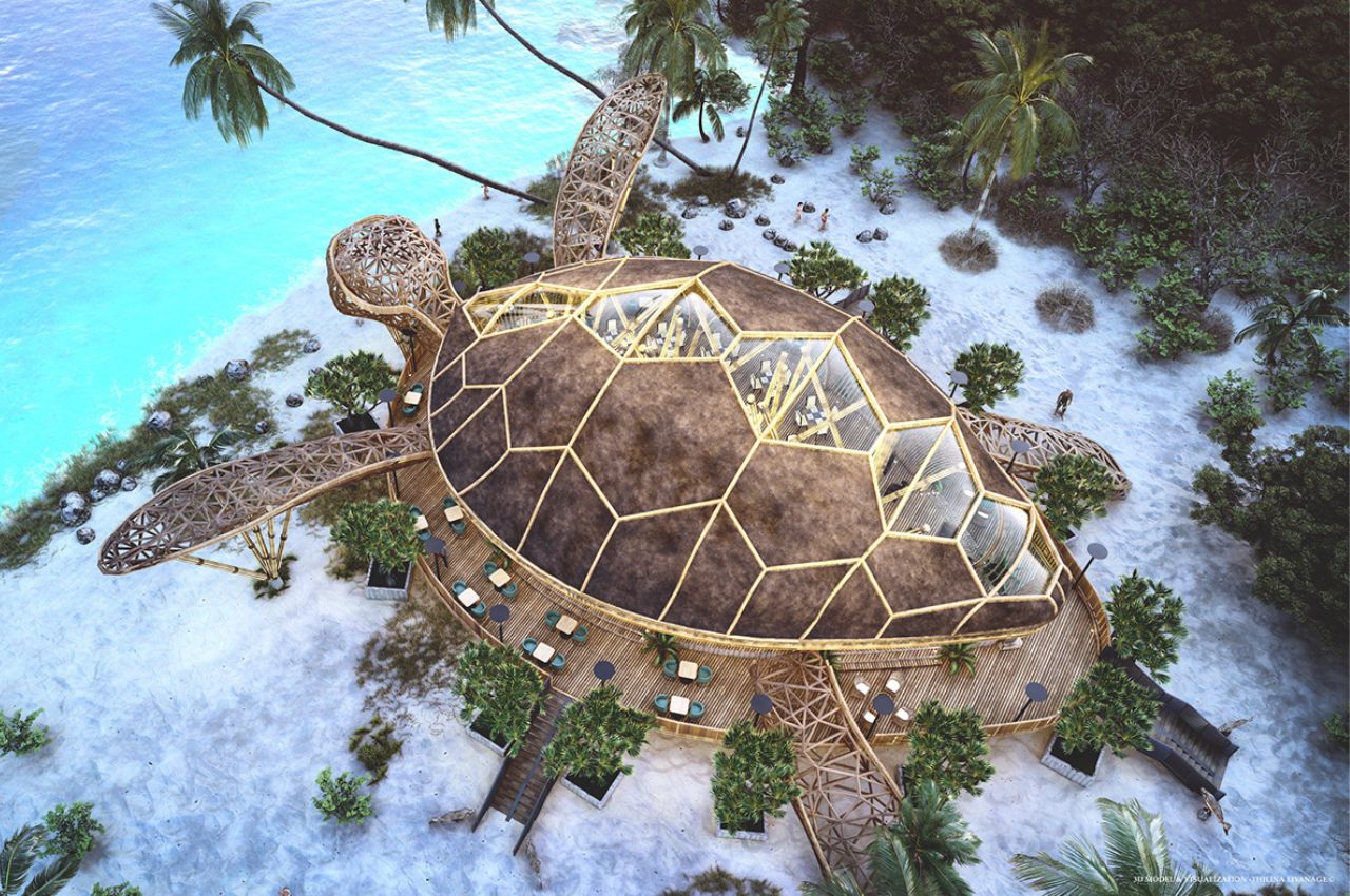 Turtle Restaurant，Turtle Restaurant，Architecture，environmental design，