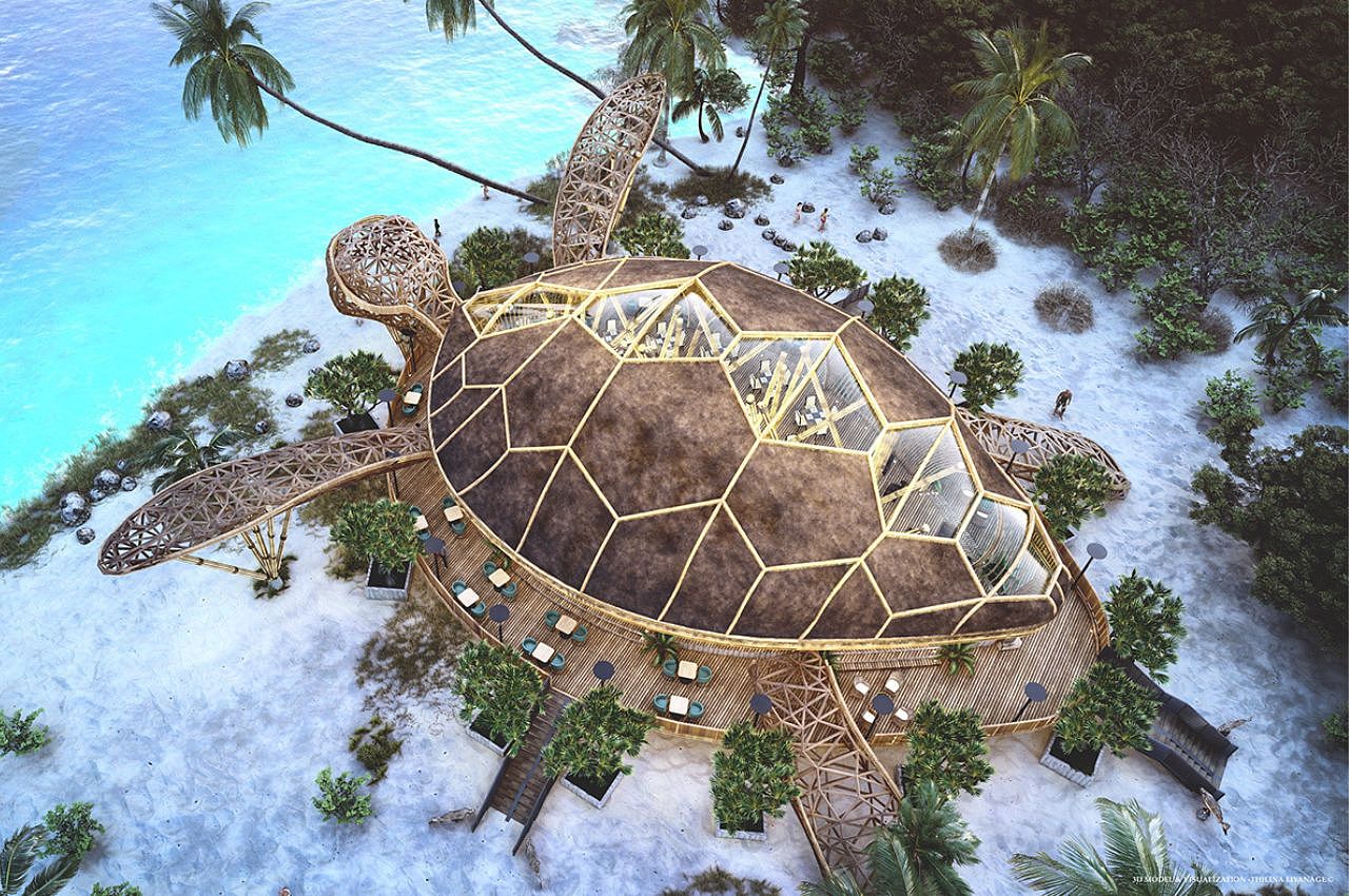 Turtle Restaurant，海龟餐厅，建筑，环境设计，