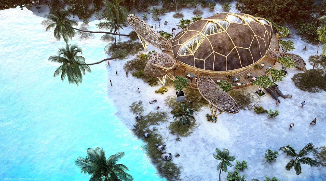 Turtle Restaurant，Turtle Restaurant，Architecture，environmental design，