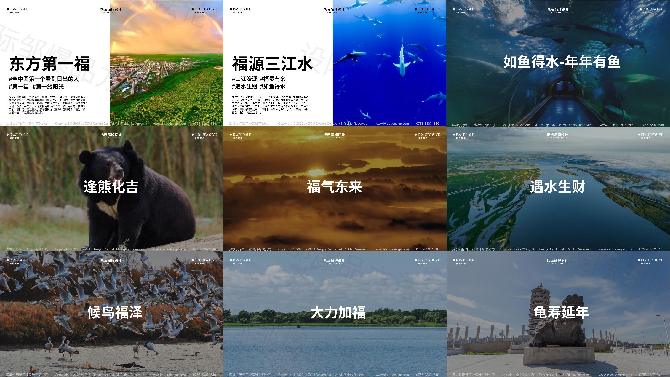 Whole case design，Design Zou industrial design，