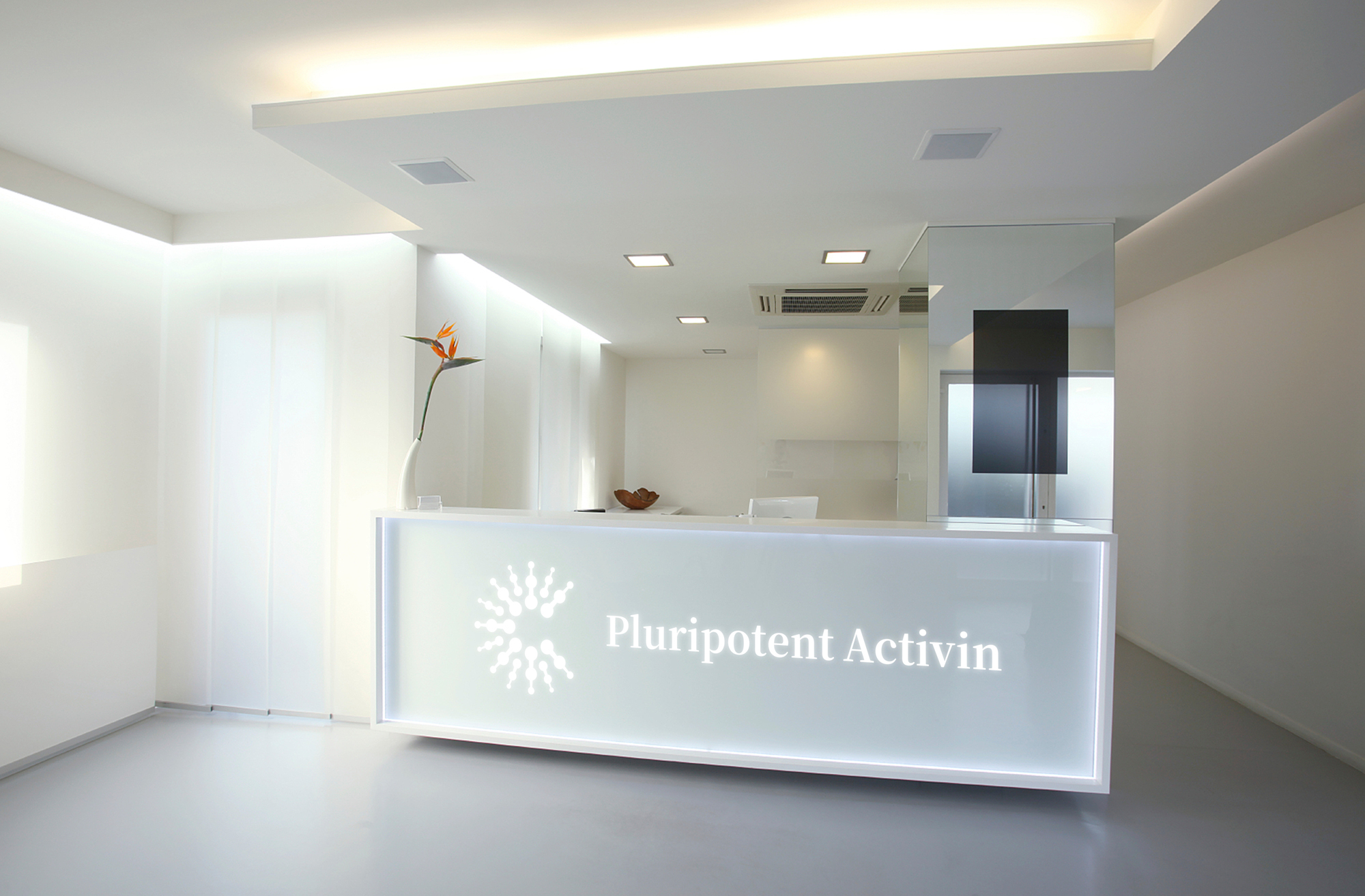 packing design，all-round living element，Gold standard design，Xiong muguo，Brand packaging design，High-grade packaging，Gift box packaging，Freeze-dried powder，