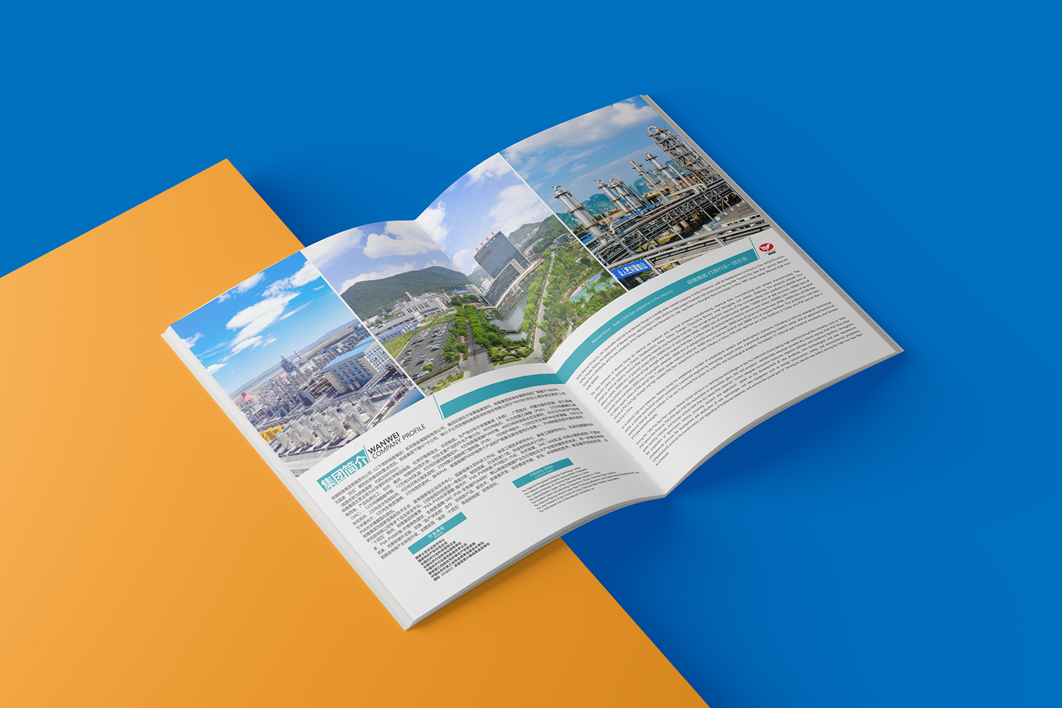 Anhui Wanwei，Wanwei Group，Hefei Chengguo Brand Design，Brochure Design ，Design of Wanwei Picture Album，Fruit brand album design，Wanwei Group Album Design，Enterprise Album Design，