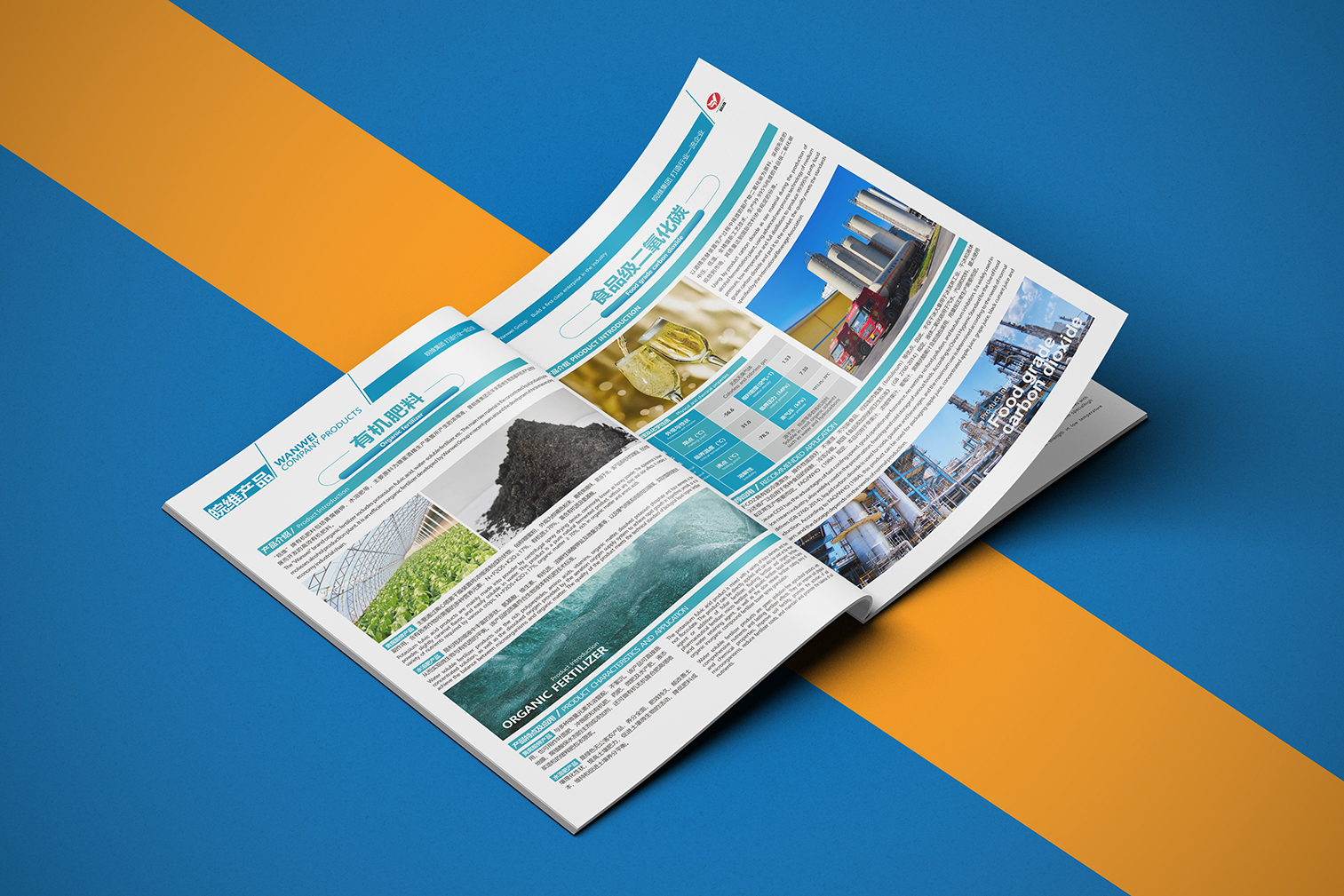 Anhui Wanwei，Wanwei Group，Hefei Chengguo Brand Design，Brochure Design ，Design of Wanwei Picture Album，Fruit brand album design，Wanwei Group Album Design，Enterprise Album Design，