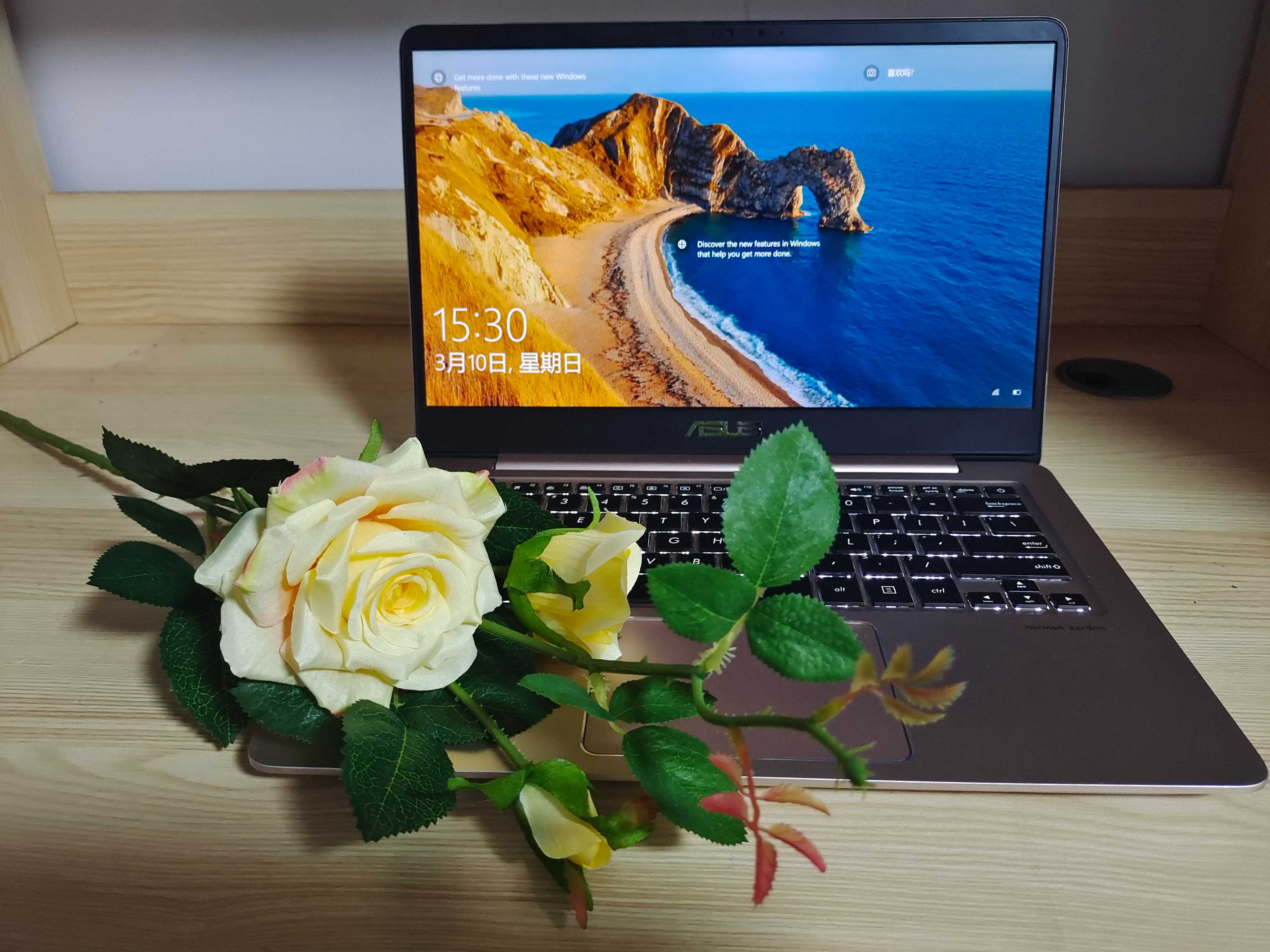 simulation flower，