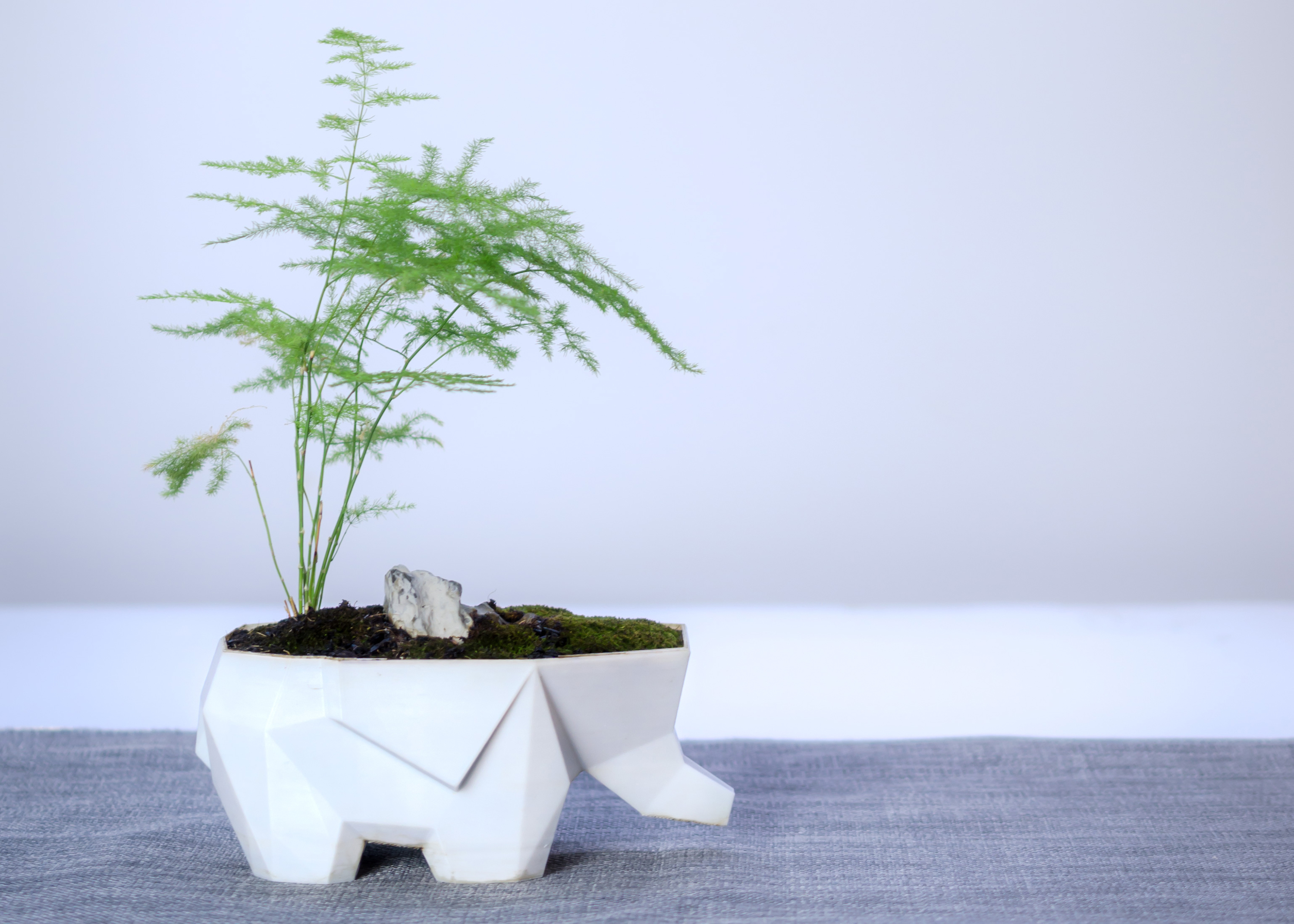 IP Design，Brand design，IP Extension，