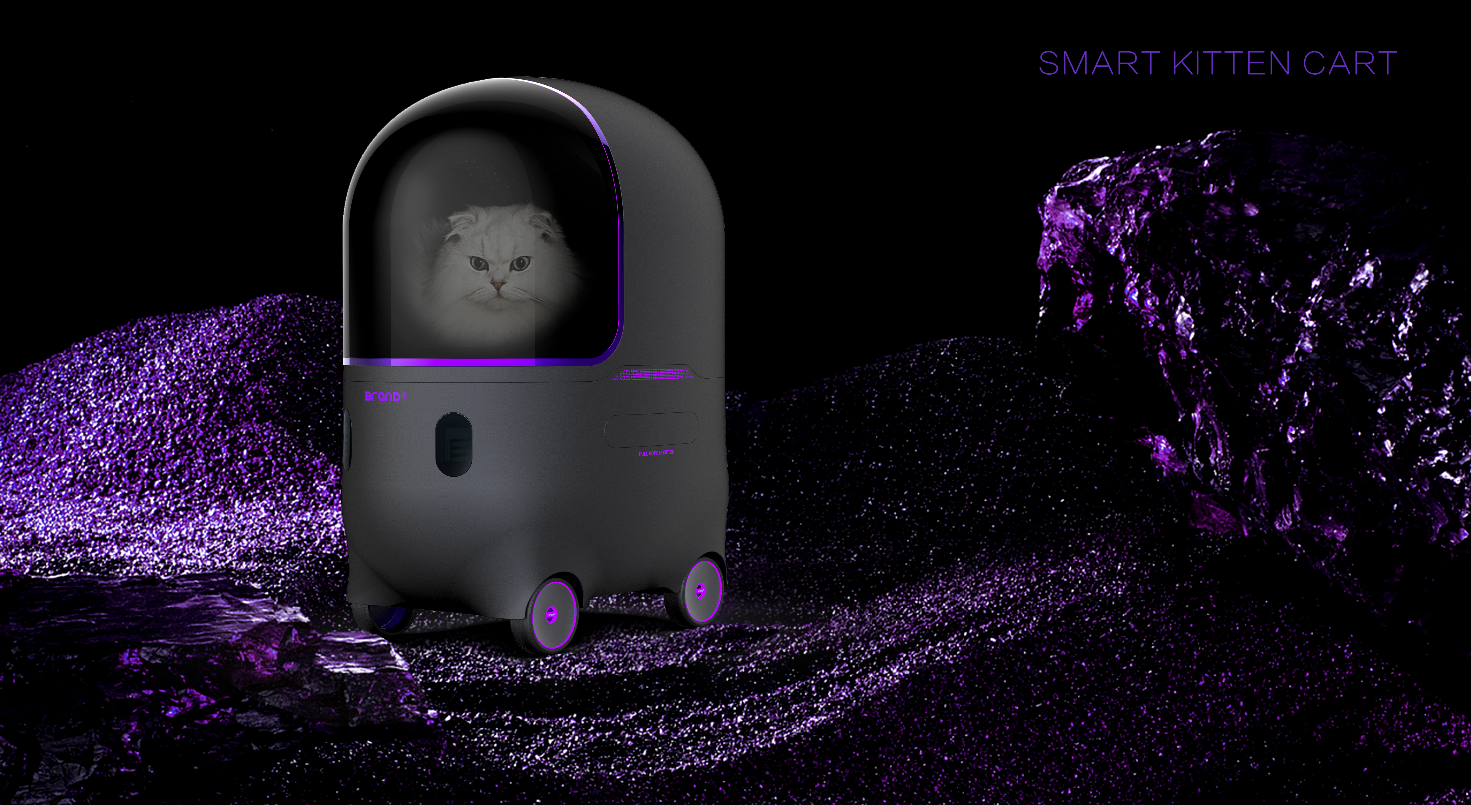 Pet cart，Pet travel，Pet products design，Intelligent cart，Cat Cart，Pet trolley case，garden cart，Intellectualization，