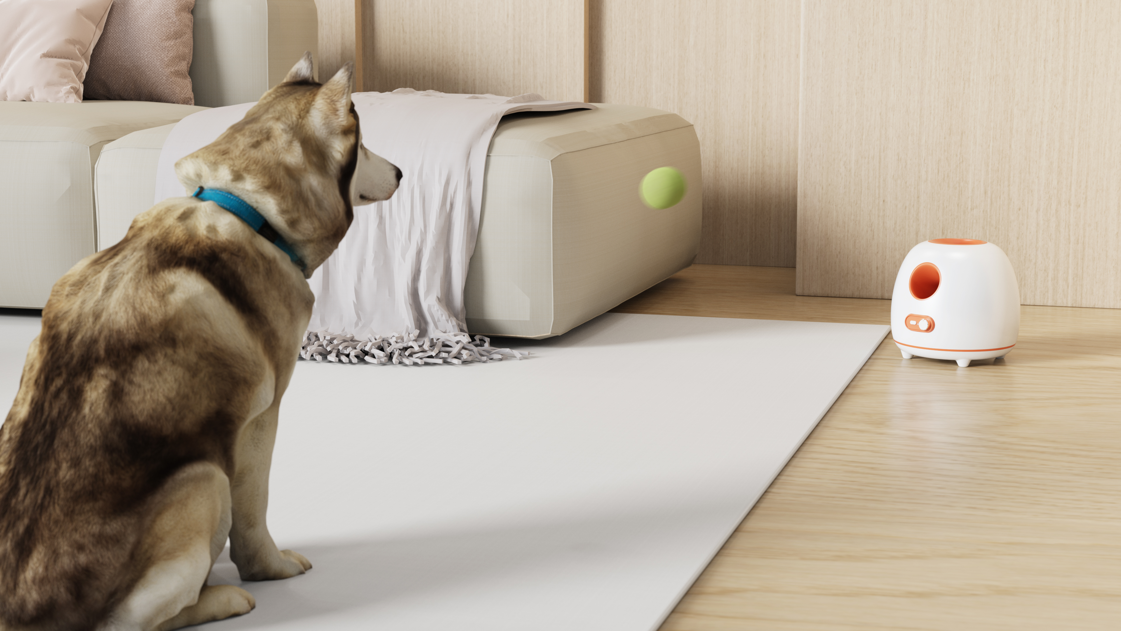 sample reels，job-hunting，Let's find fault.，