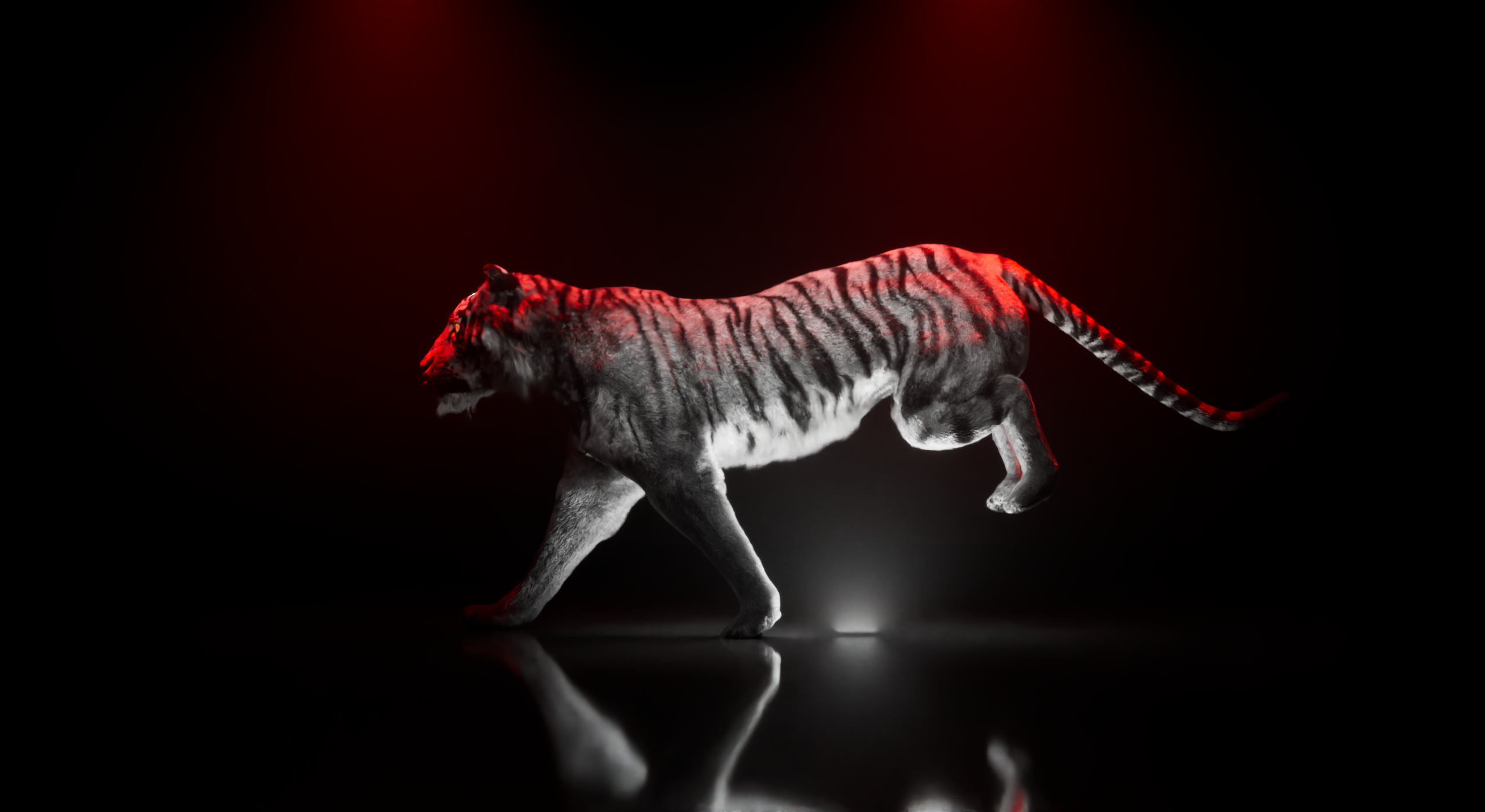 cg，Product animation，robot，Quadruped，