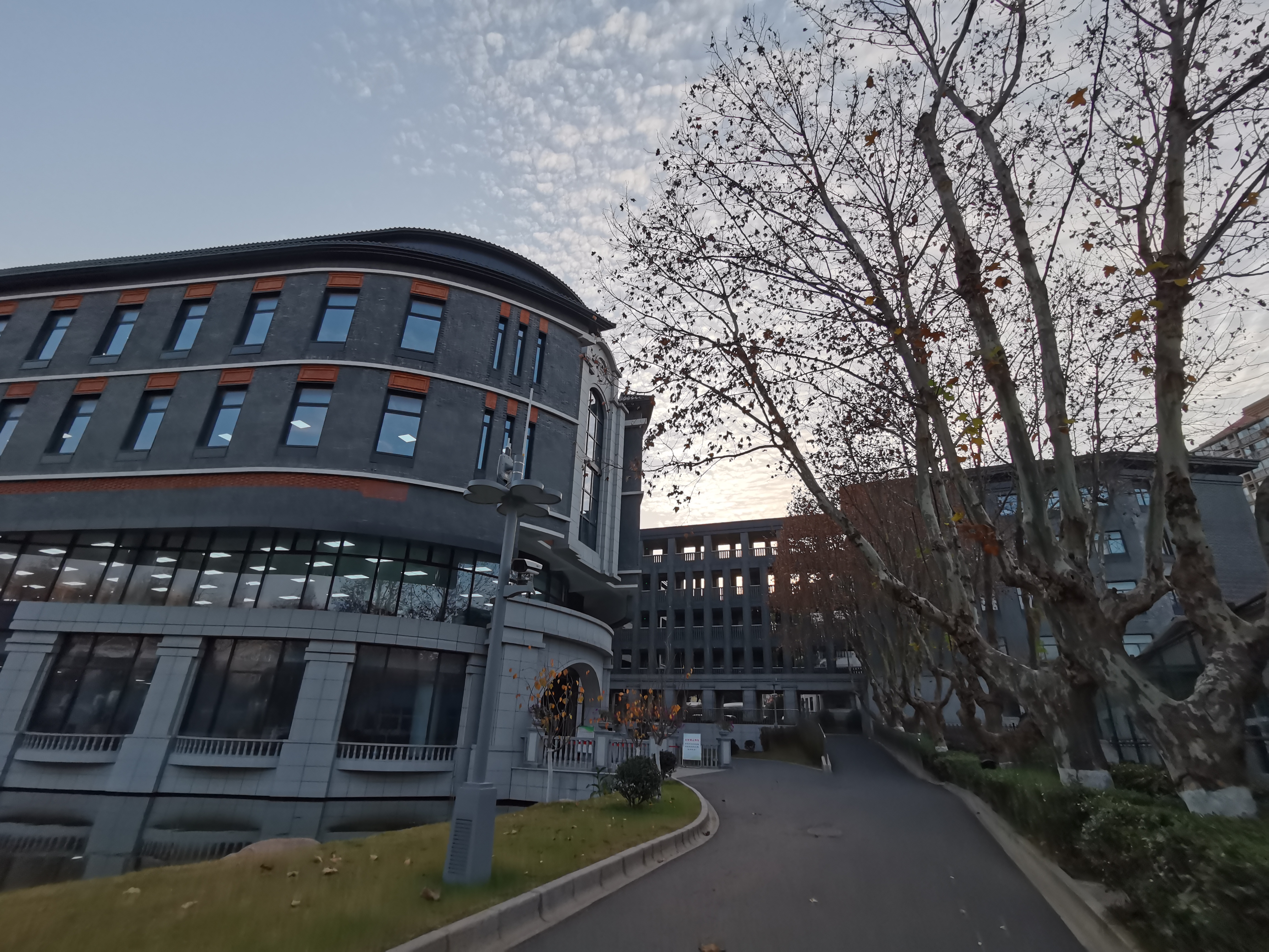 Street lamp design，Clover shape，