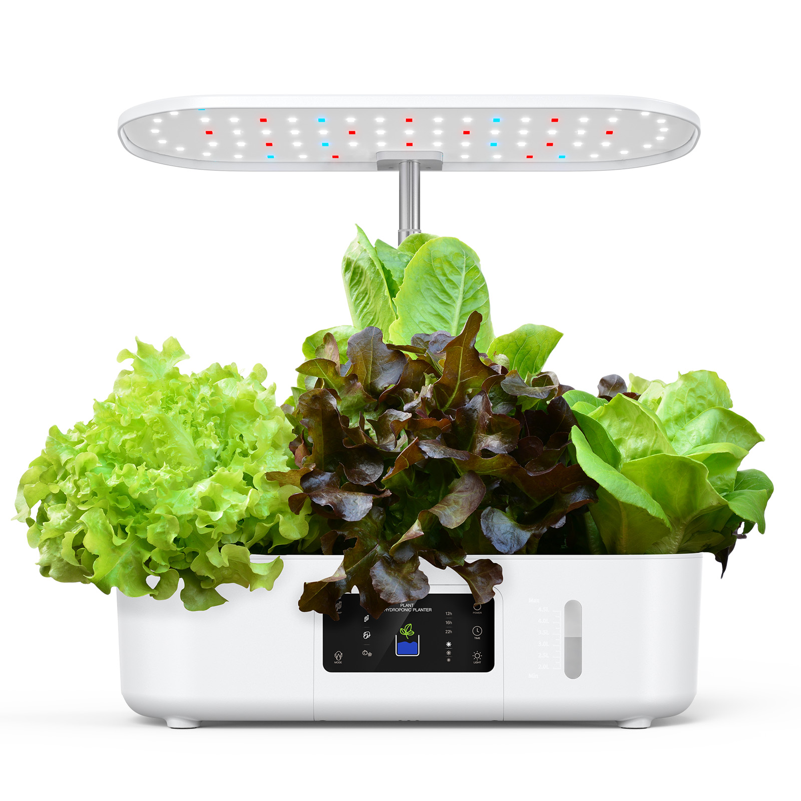 Plant planter，Petri dish，household electrical appliances，Plant lamp，ultraviolet rays，photosynthesis，Hydroponic culture，gardens，