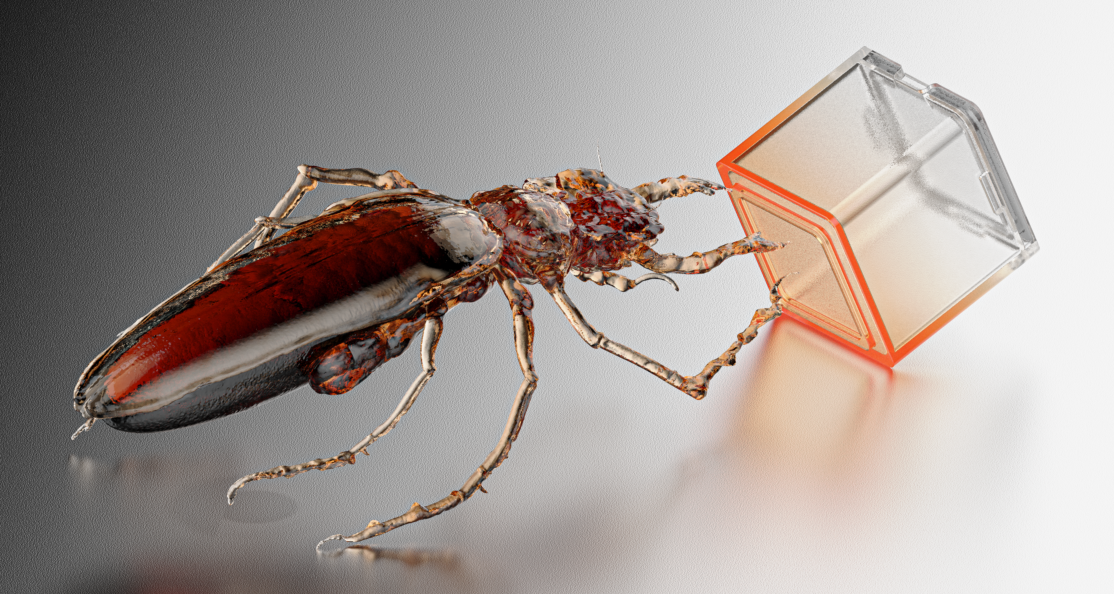 furniture stool，Art Chair，Interior design，modern，