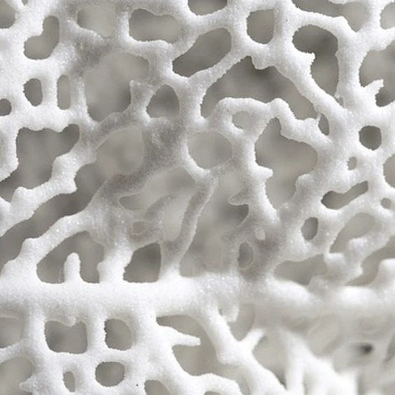 Coral，Pure white，environment protection，