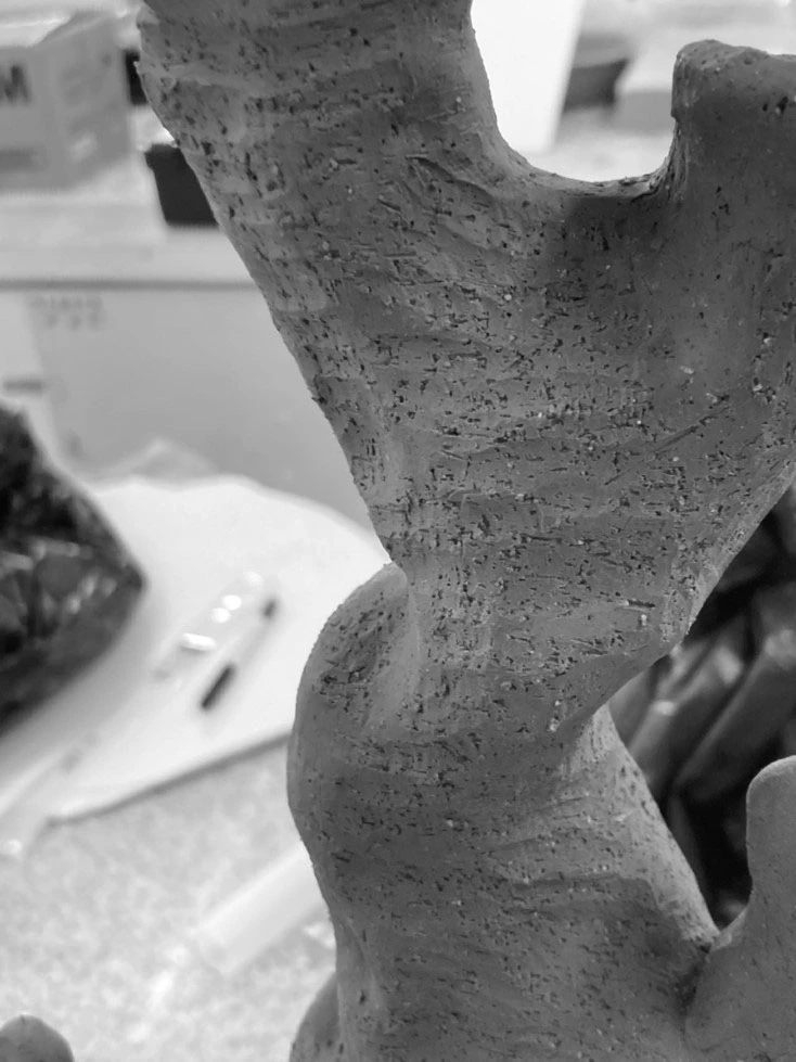 Coral，Pure white，environment protection，