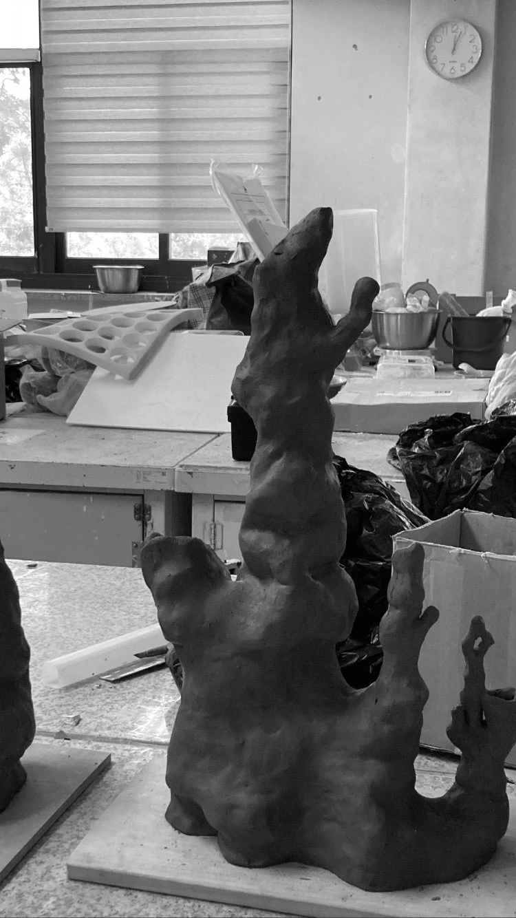 Coral，Pure white，environment protection，