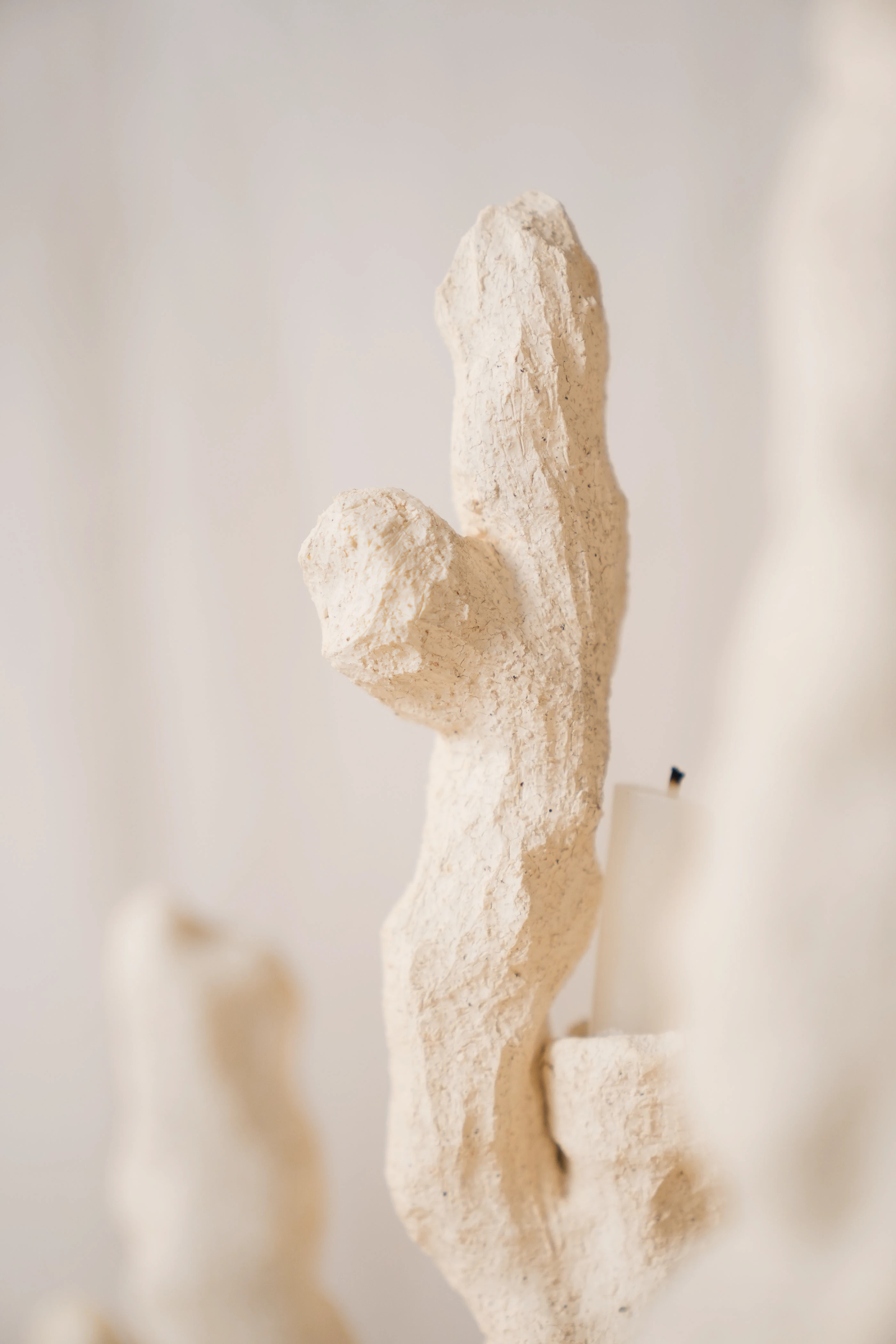 Coral，Pure white，environment protection，